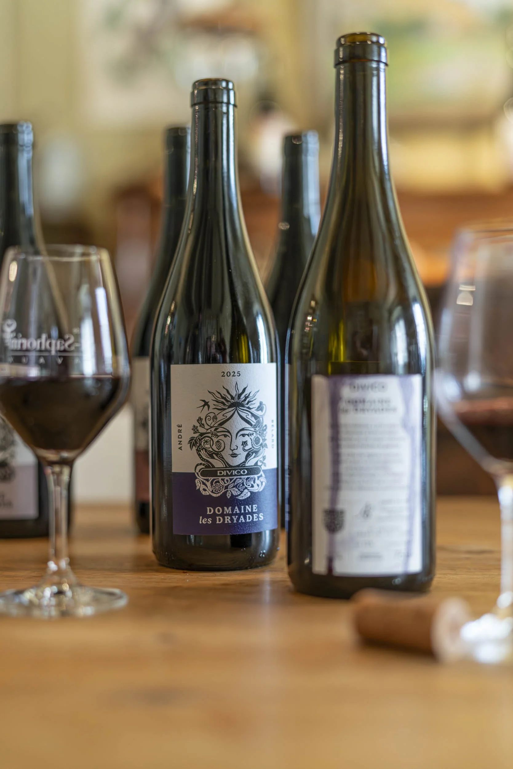 André Belard_2026_00108.jpg