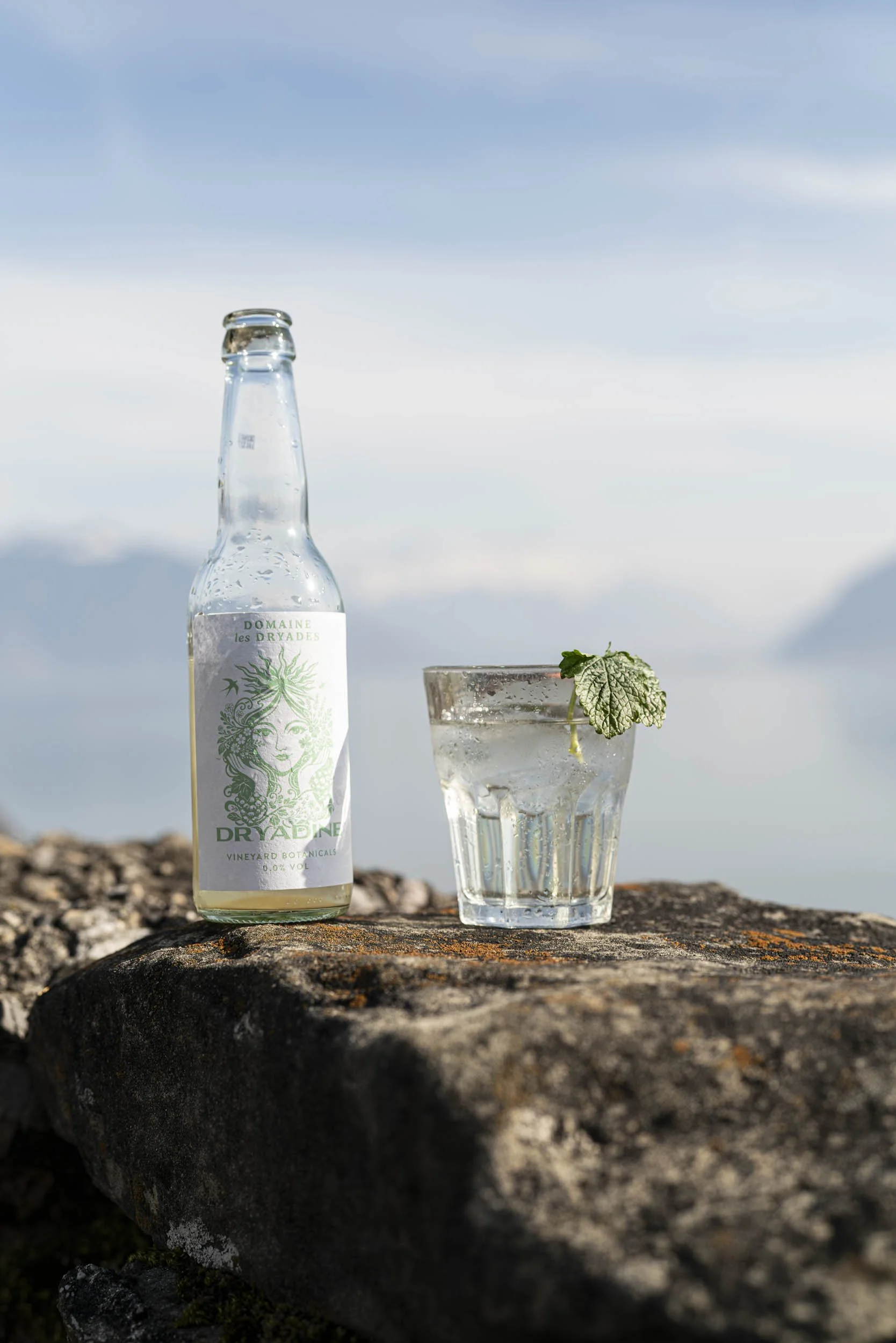 André Belard_2026_00004.jpg