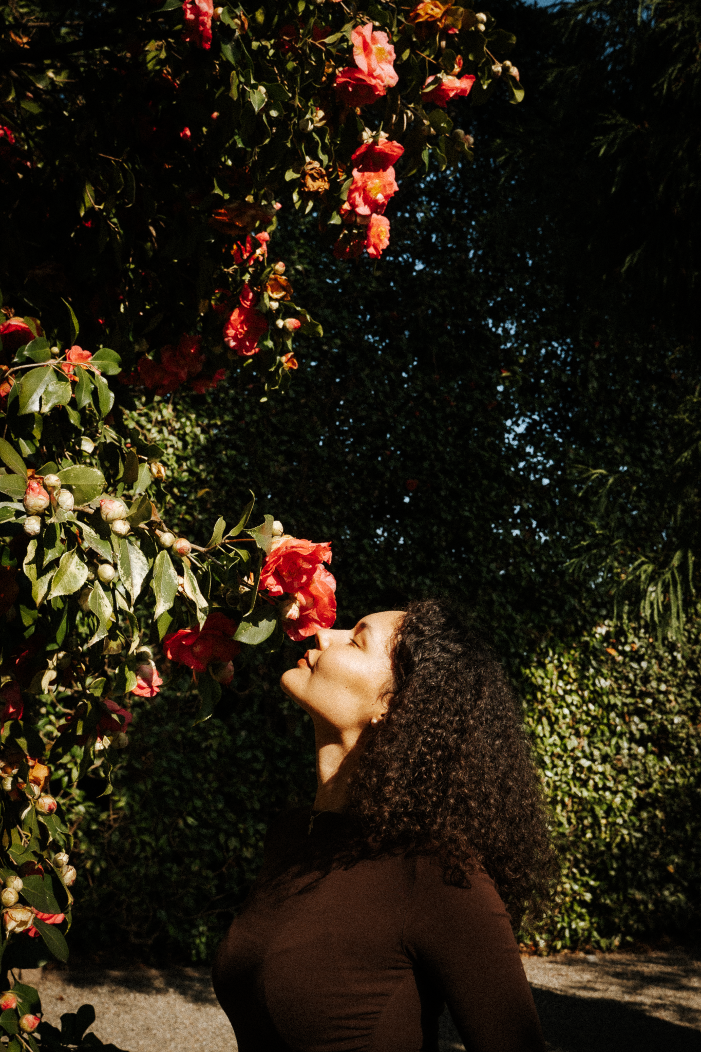 DSC_0105.png