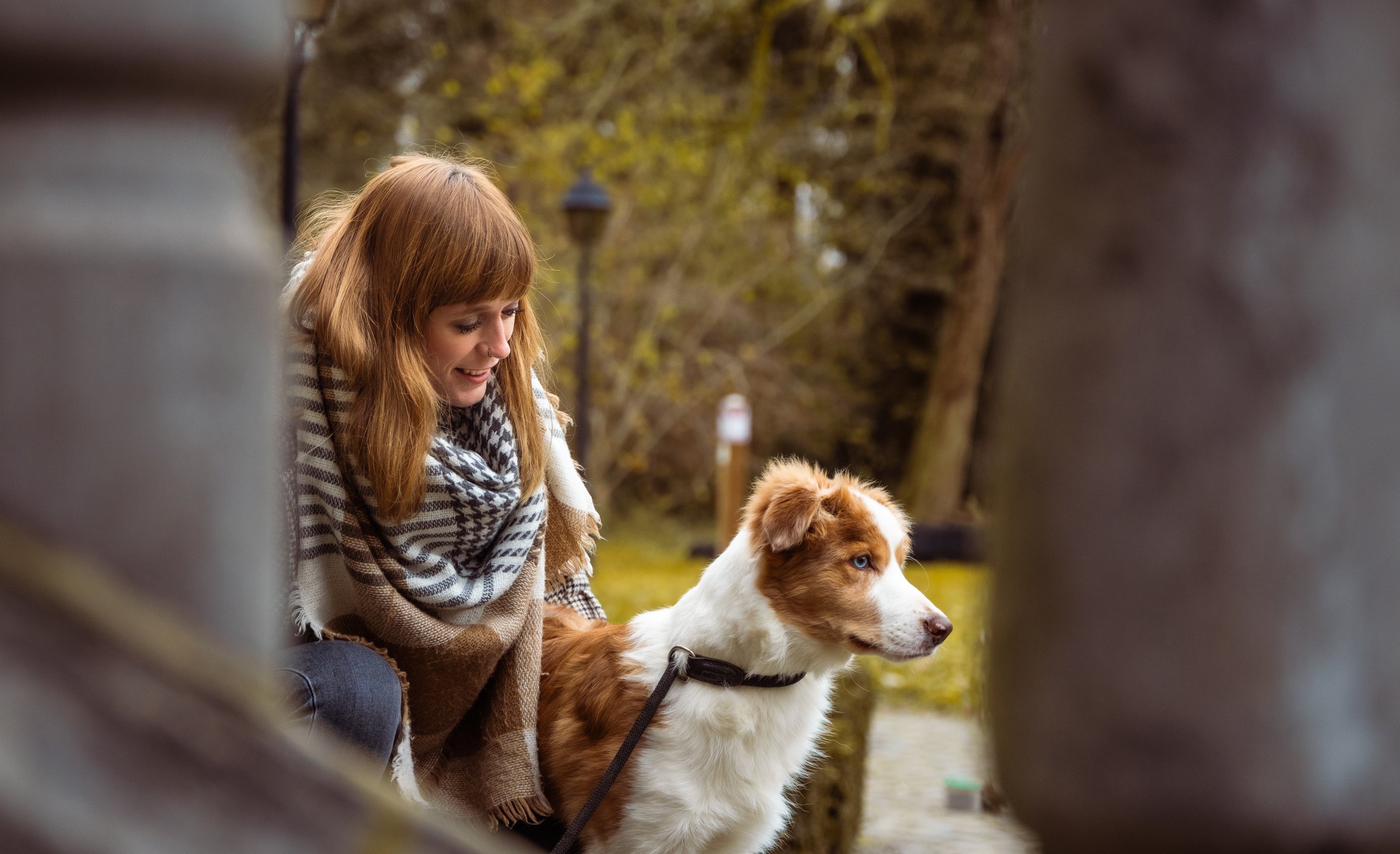 Owner and dog shoot