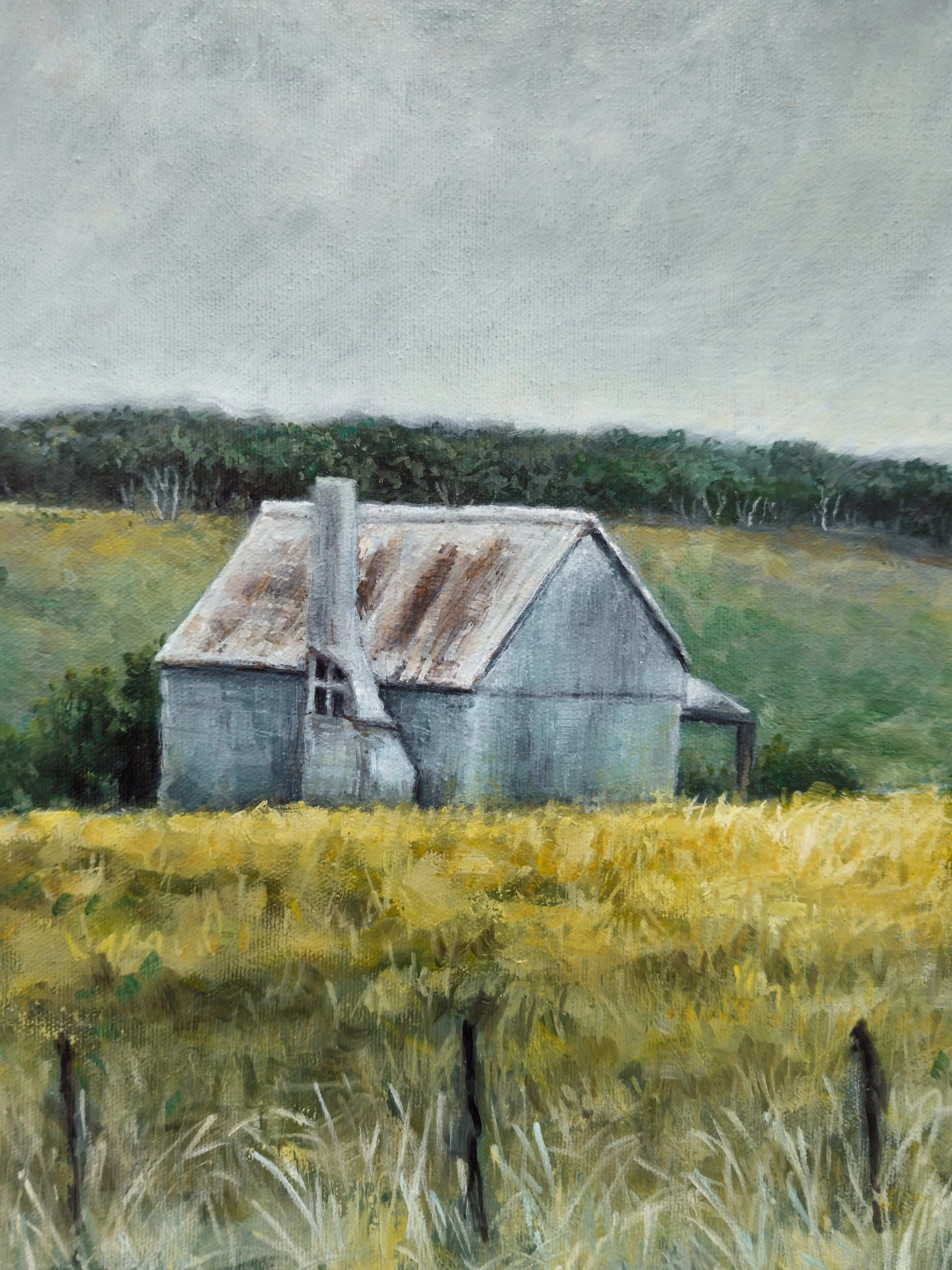 Shearer's Shed by Ian Fleming
