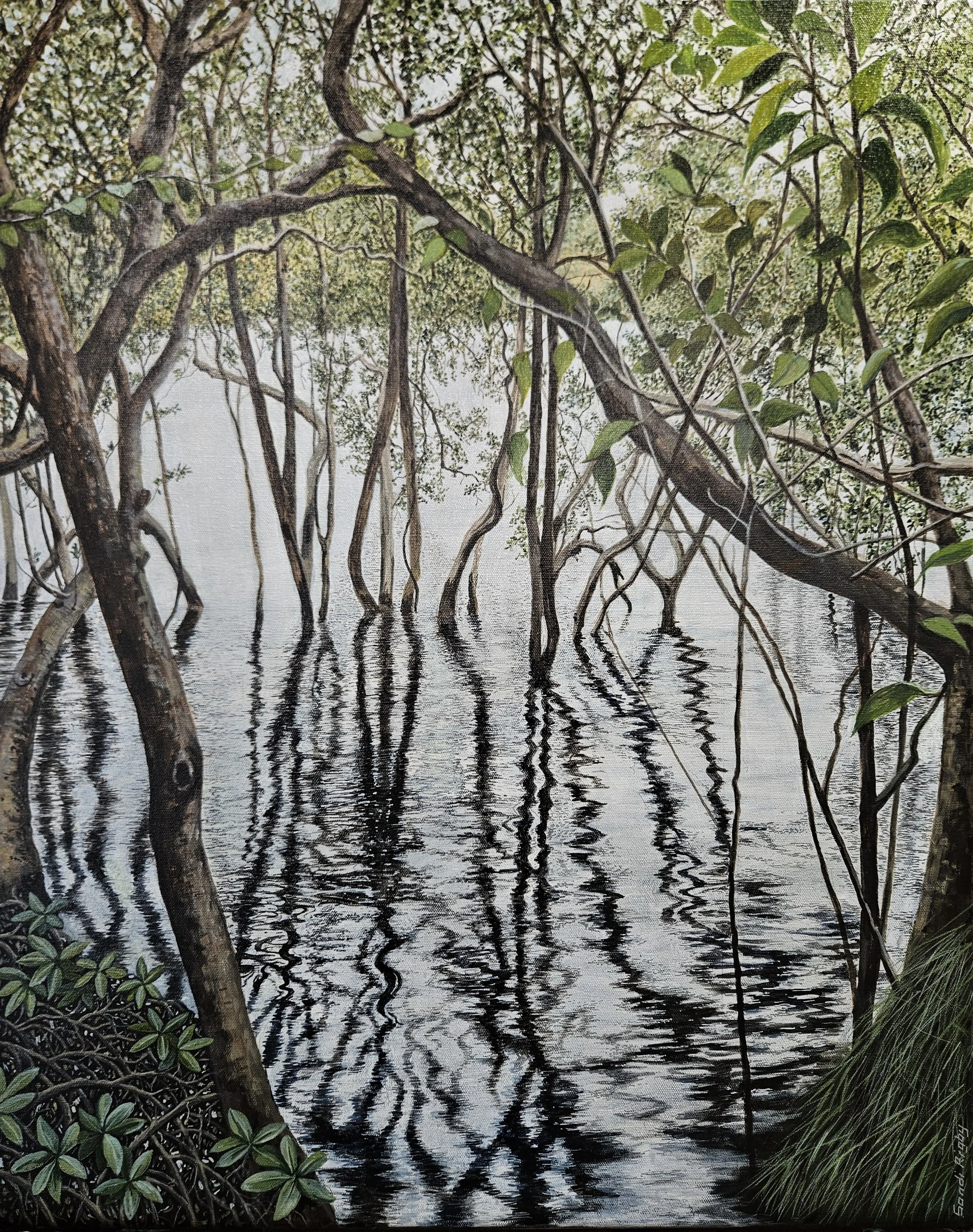 Mangroves, Gordon Creek by Sandi Rigby
