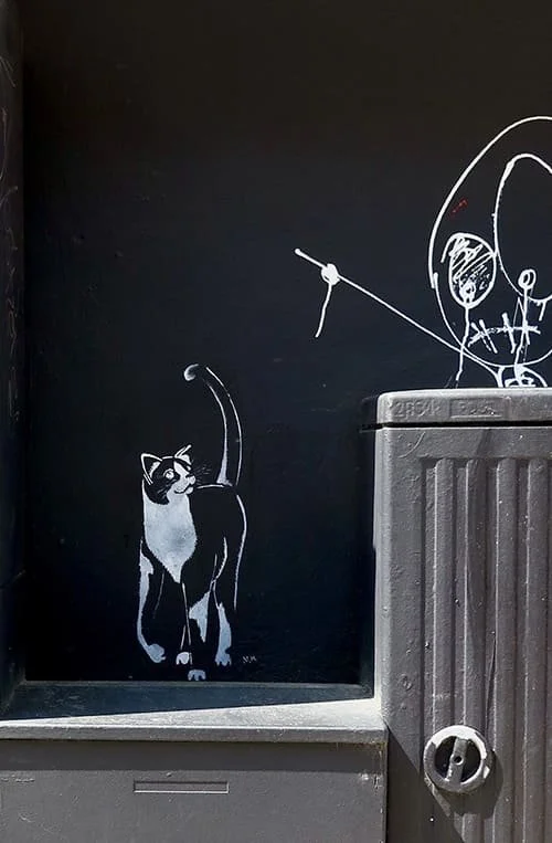 Die Tuxedo - Katze an der Bib