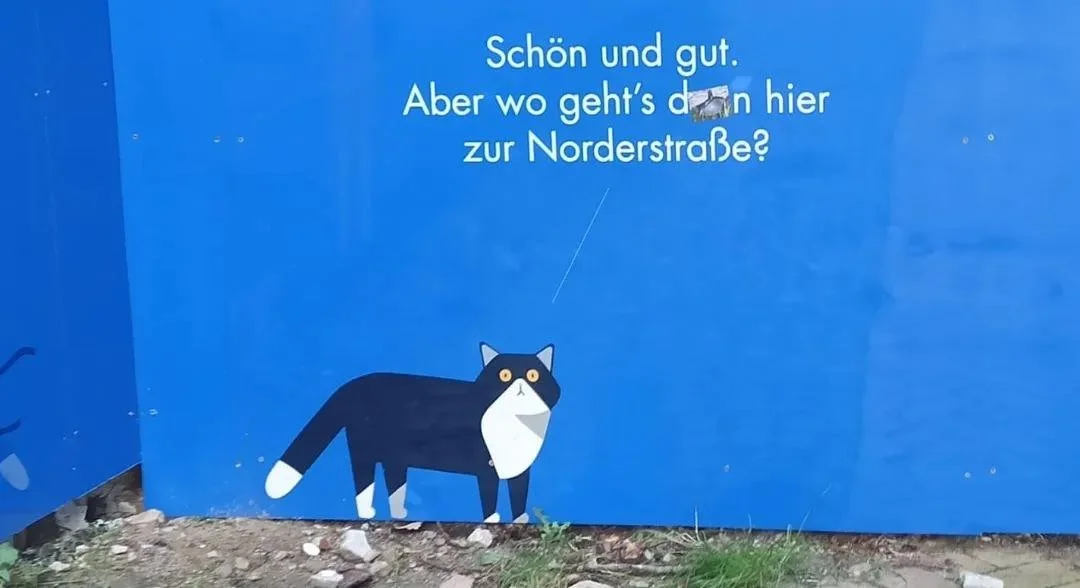 Die Katze am Bauzaun in der Angelburger Str.