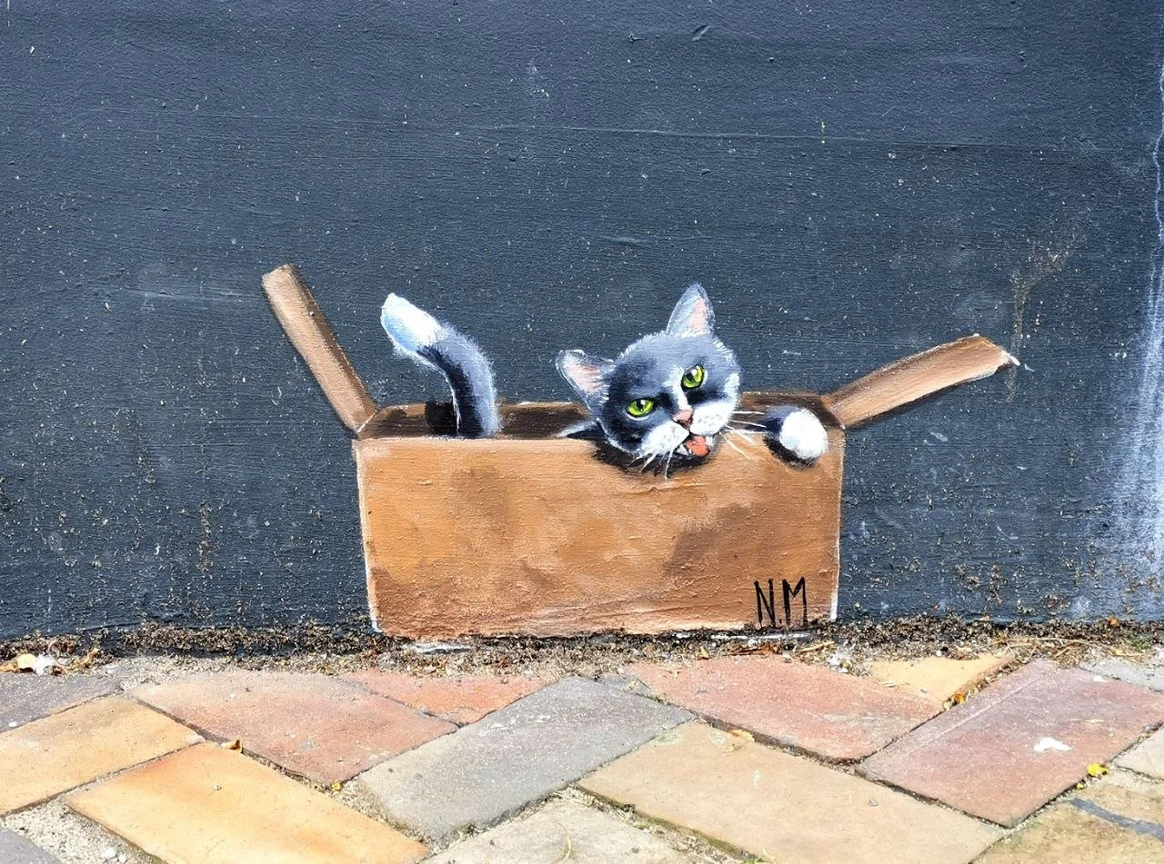 Katze_im_Karton_NM_Flensburg.jpeg