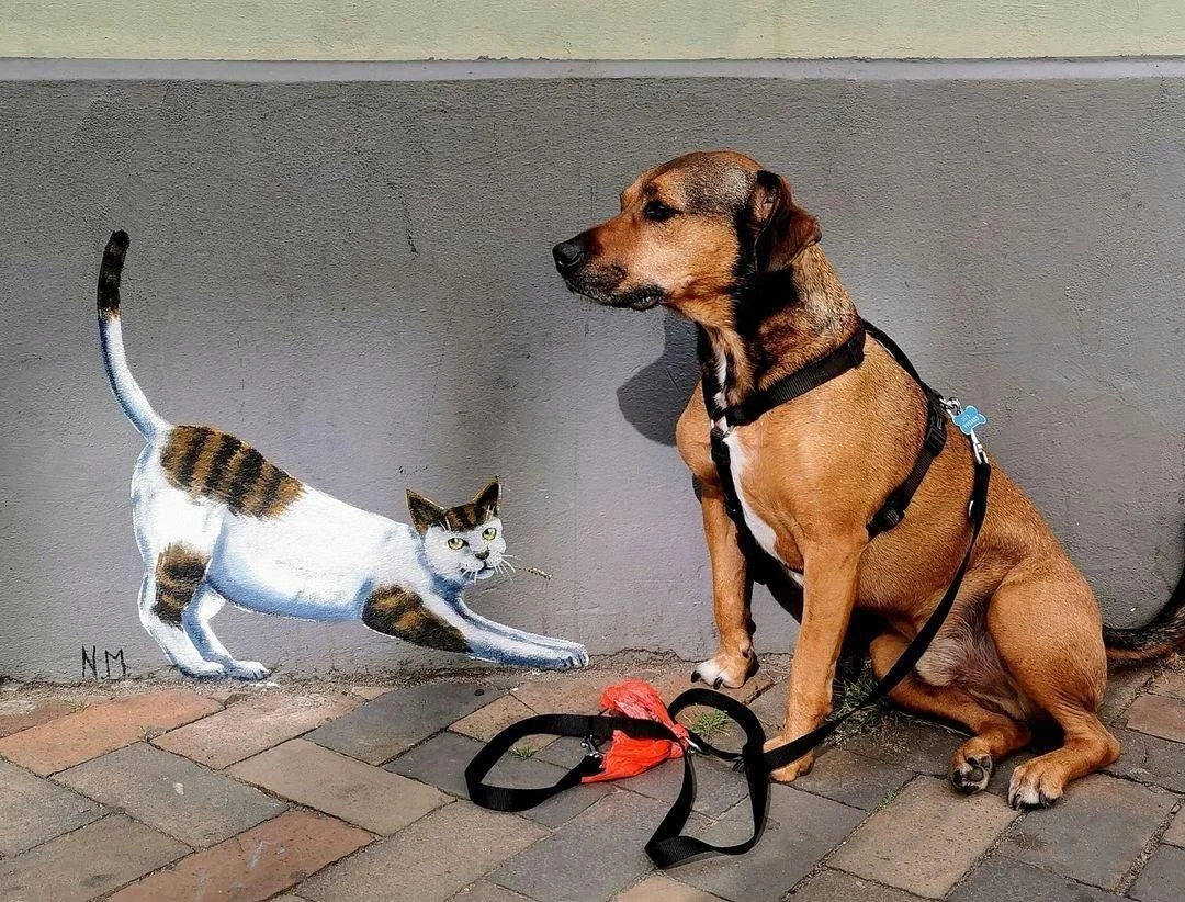 Hunde stören diese Katzen nicht!