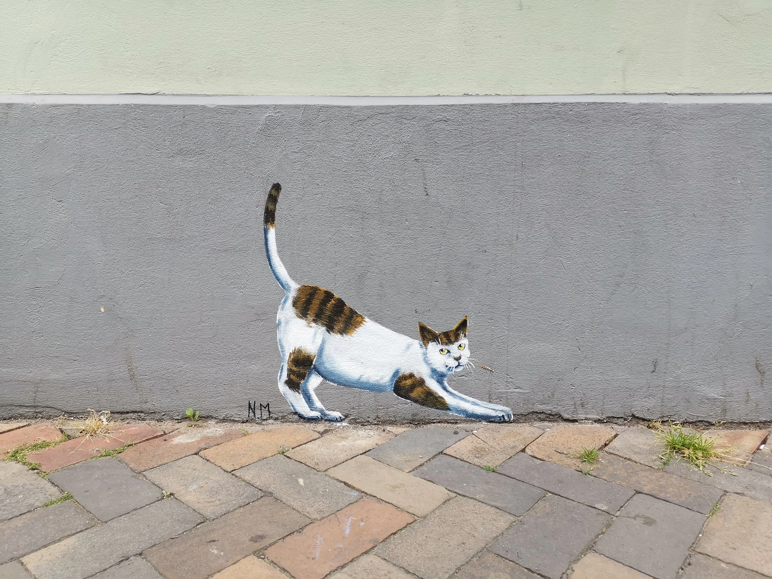 Ähre Katze