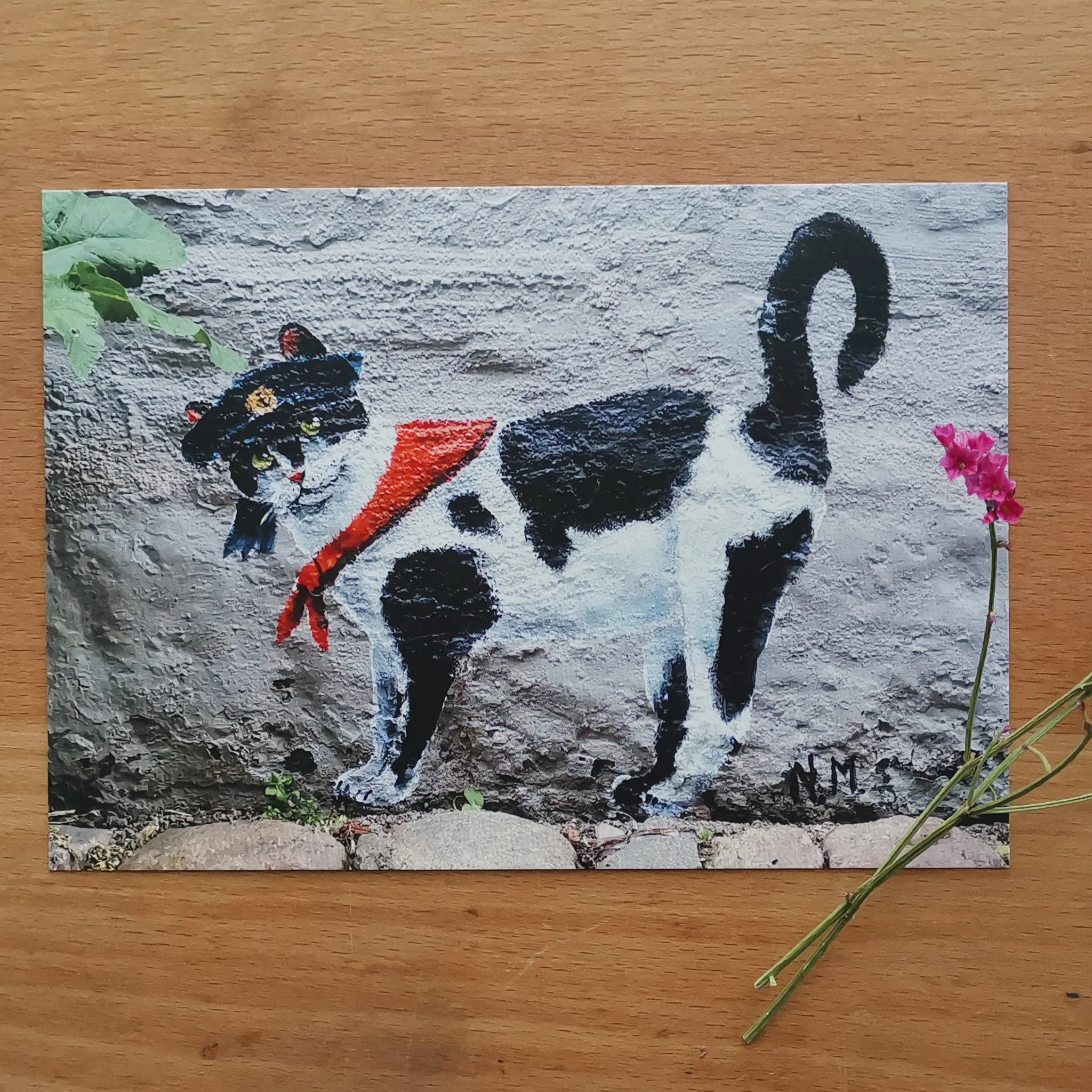Die_Schiffskatze_Postkarte.jpg