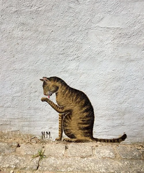 Immer_sauber_bleiben_Flensburger_Katzen..jpg