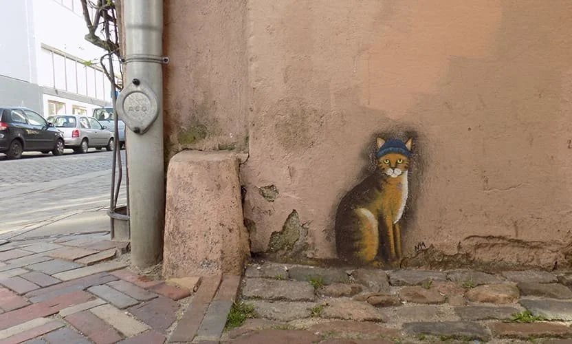 Die_Katze_mit_der-blauen_mütze_Flensburger_Katzen..jpg
