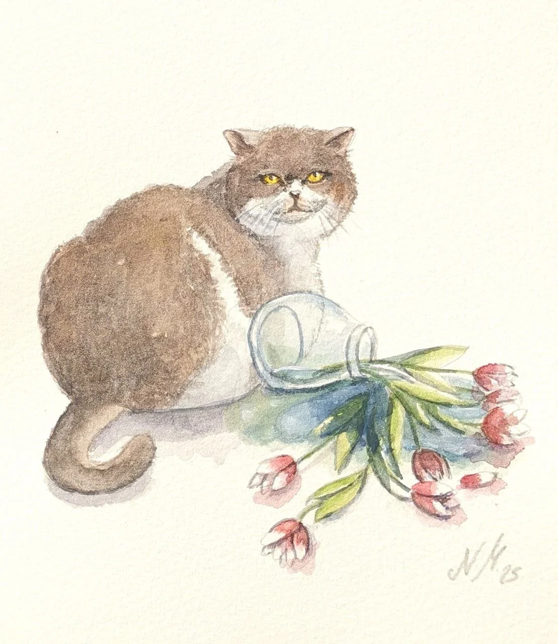 Schön für dich_Katze.jpeg