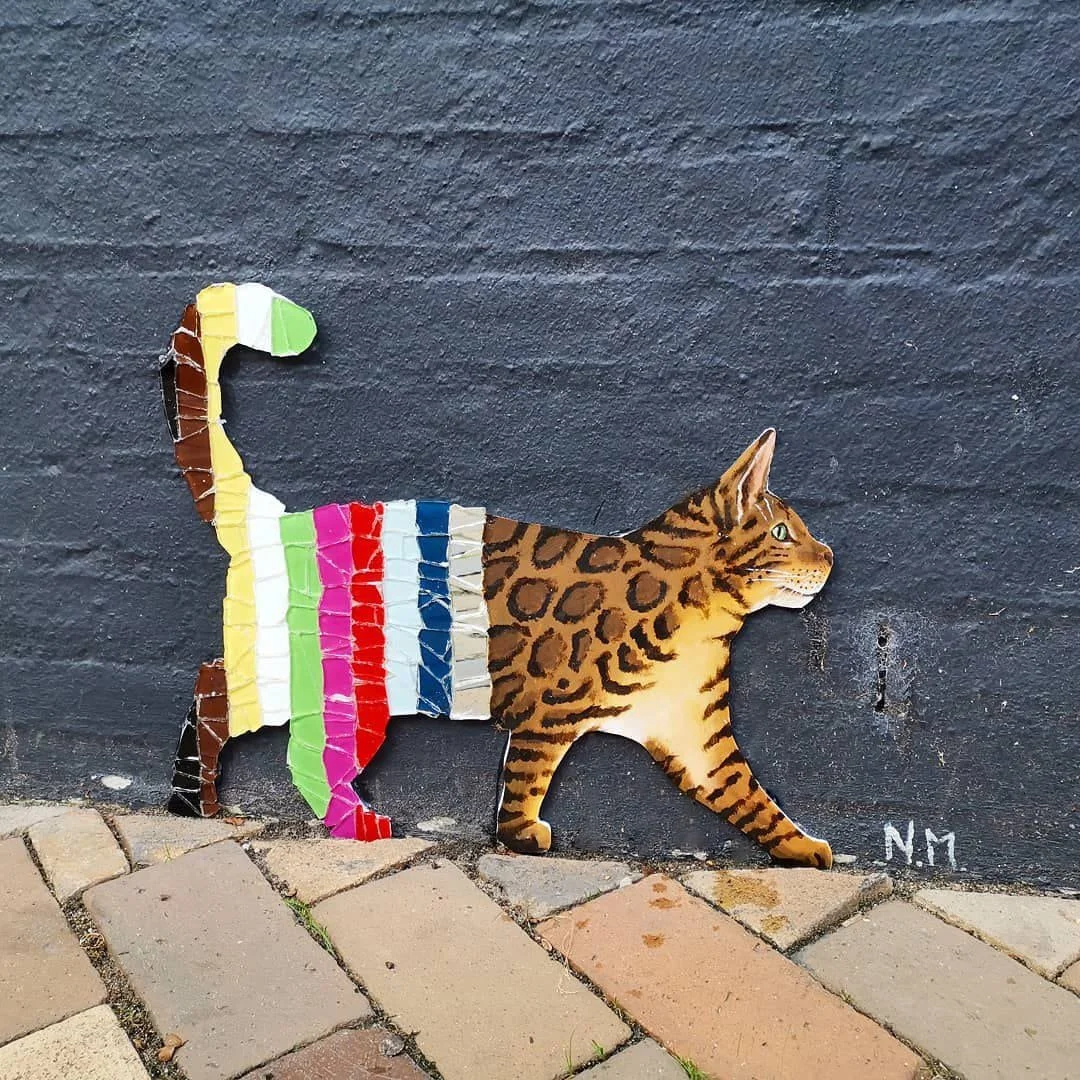 Colab_cat_Flensburger_Katzen..jpg