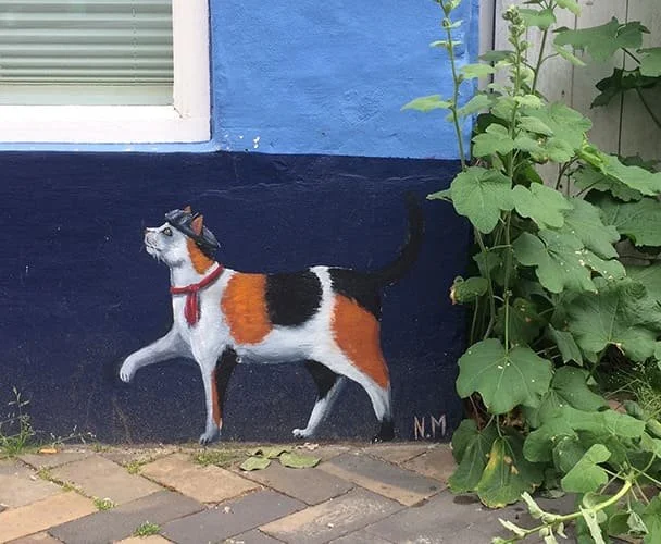 Glückskatze_Flensburger_Katzen.jpg