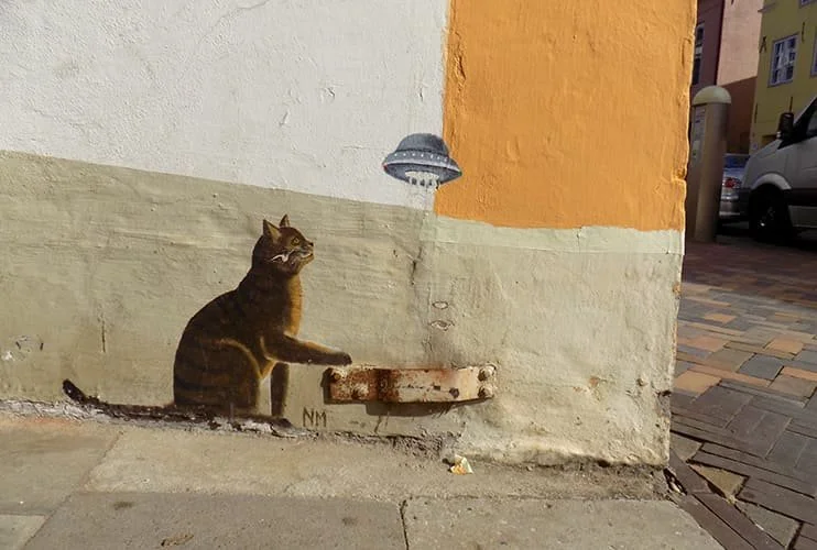 Ufo_Katze_Flensburger_Katzen..jpg