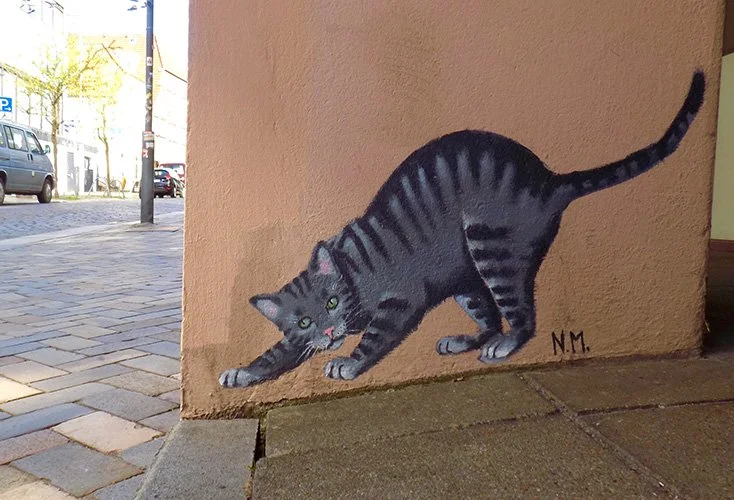 achtung_katze_Flensburger_Katzen..jpg