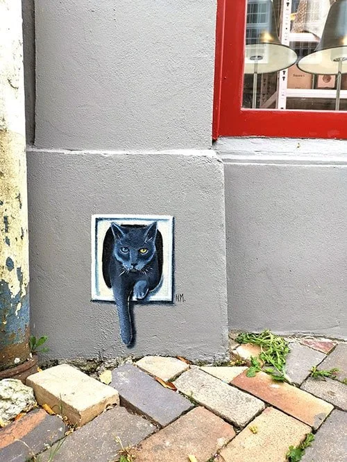 Die_Entdeckerin_Flensburger_Katzen..jpg