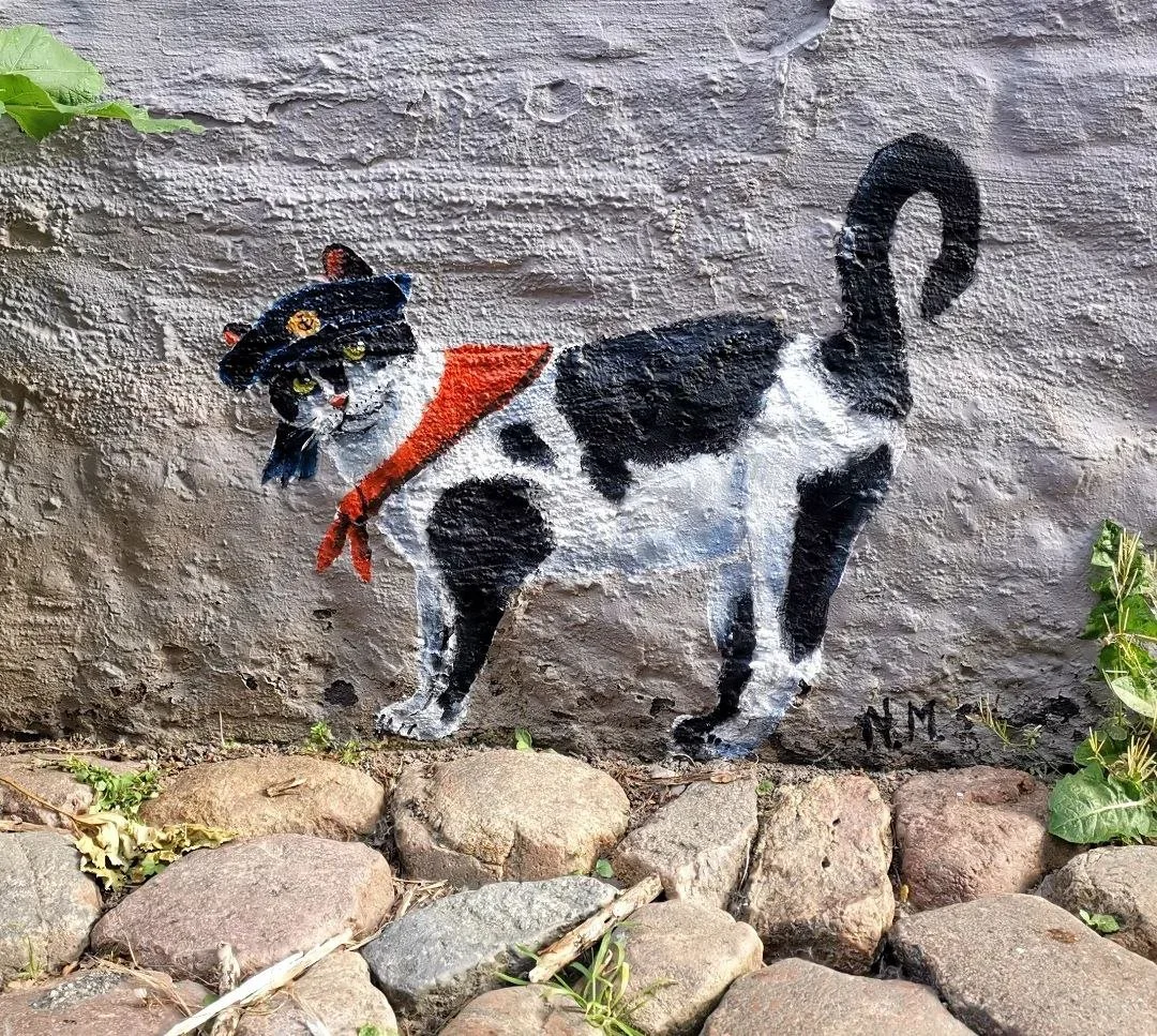 Die Schiffskatze