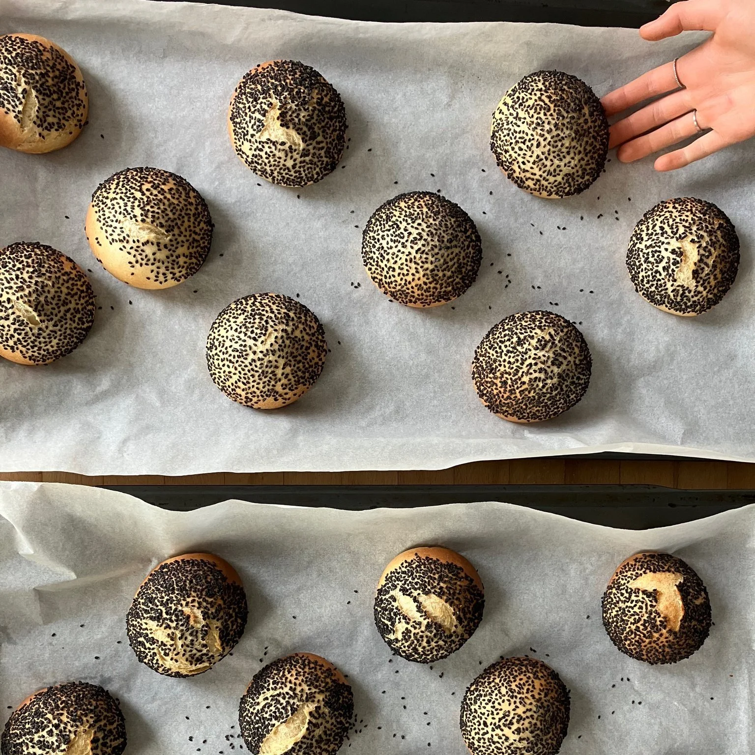 Frische Brötchen mit schwarzem Sesam auf Backpapier, Hand berührt eines der Brötchen.