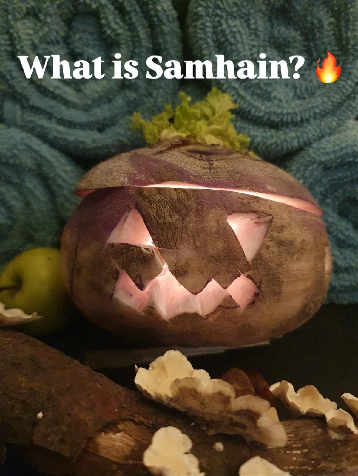 What is Samhain?
Samhain (pronounced more like ‘sa-wayne’) is the name of the old cross-quarter festivals - half way between the autumn equinox and the winter solstice. ππ
Marking the final harvest and the shift into winter. It’