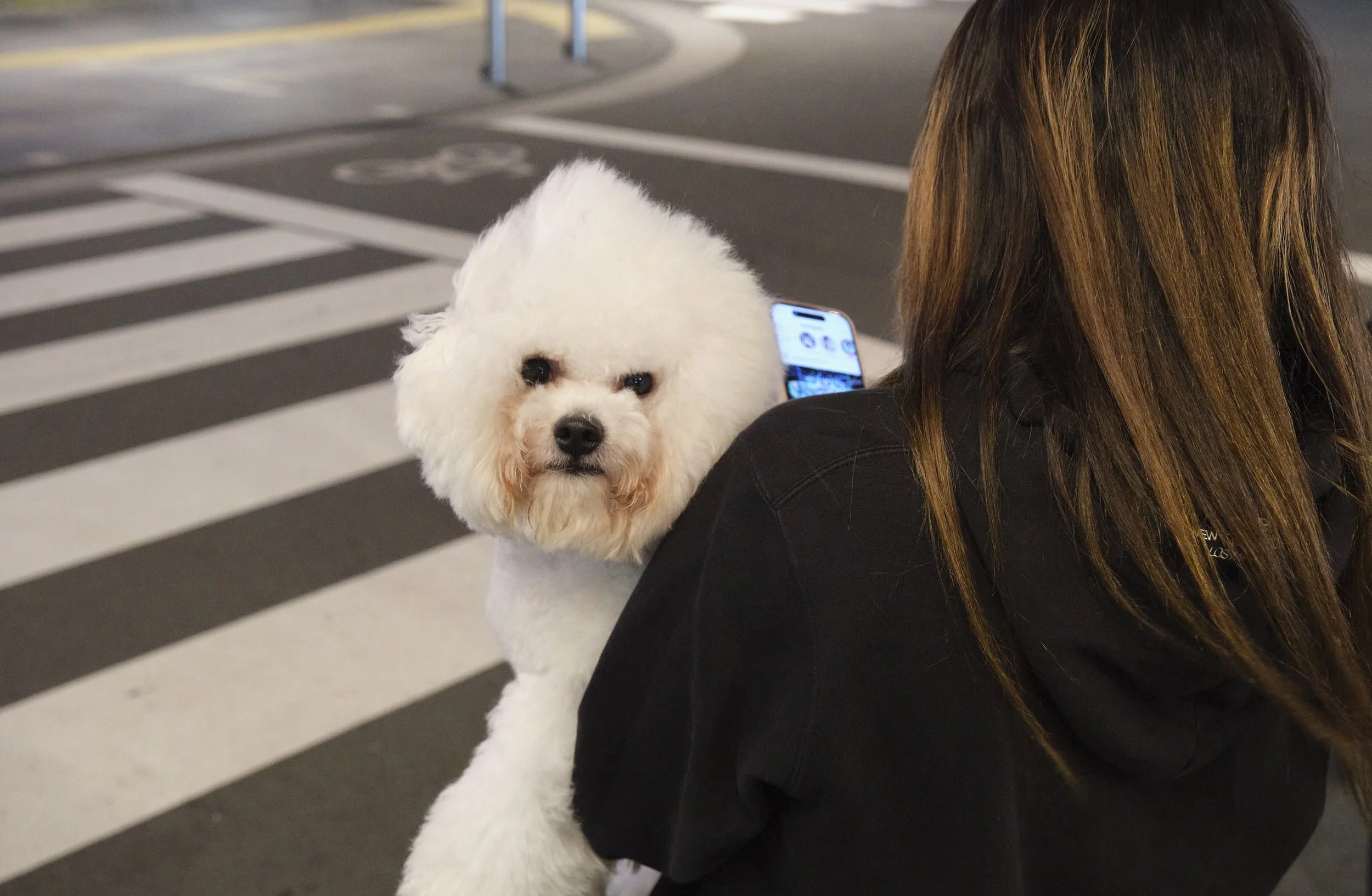 FOLIO 2026 PAGES_29.jpg