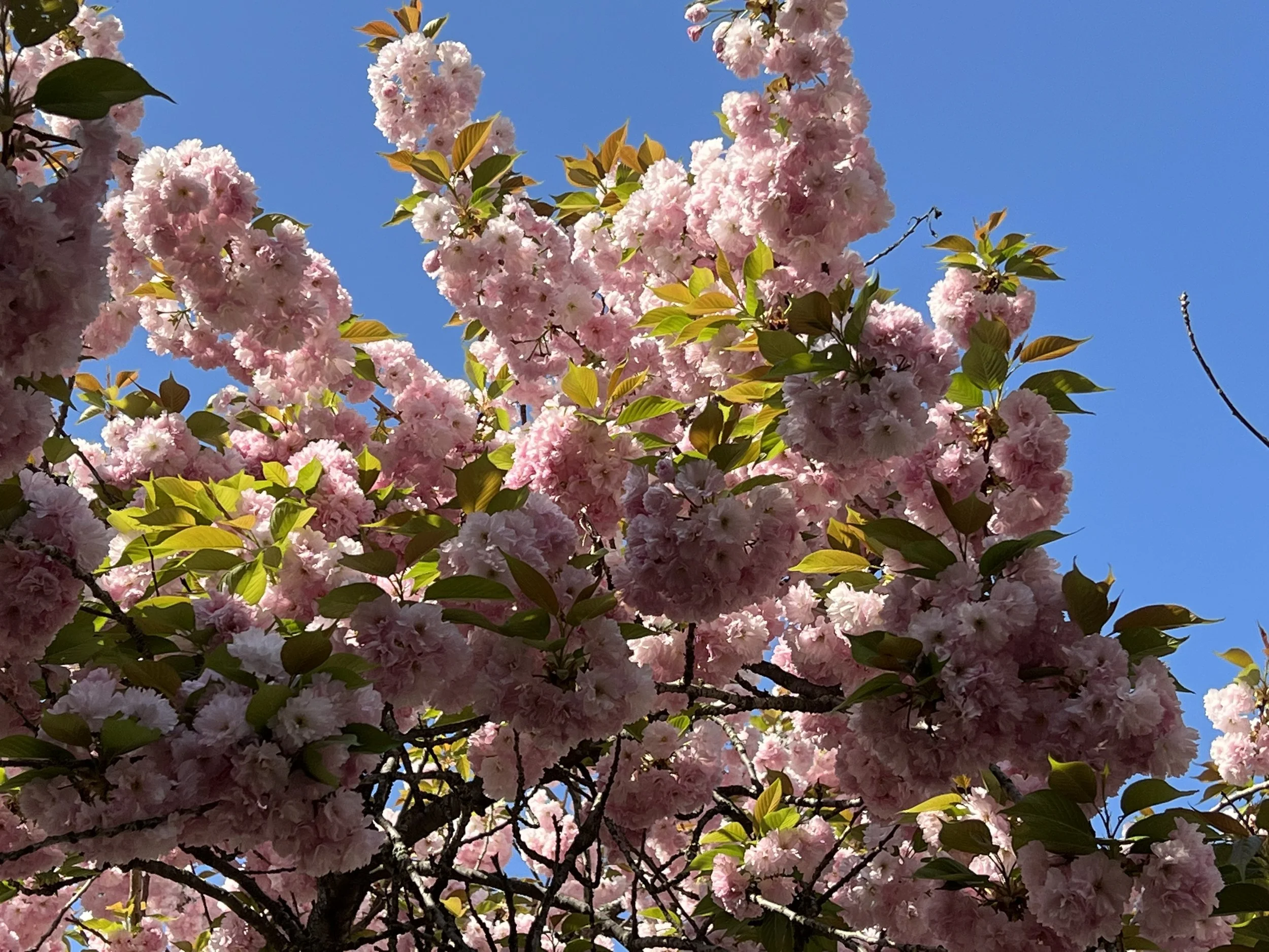 Reflections on Motherhood and Mentorship