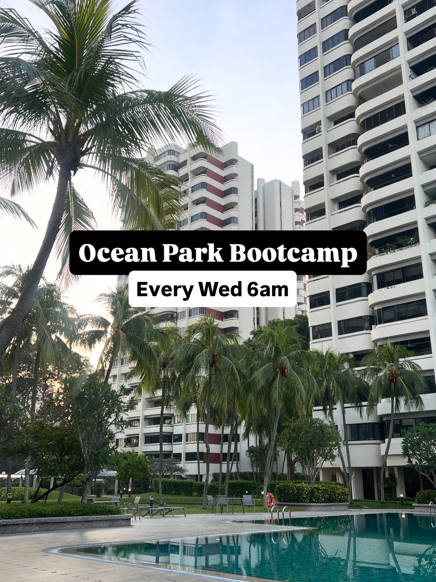 Want in on the 6am Ocean Park crew? ✨💪
A feel-good workout to set up your whole day.

DM to join us next Wednesday.