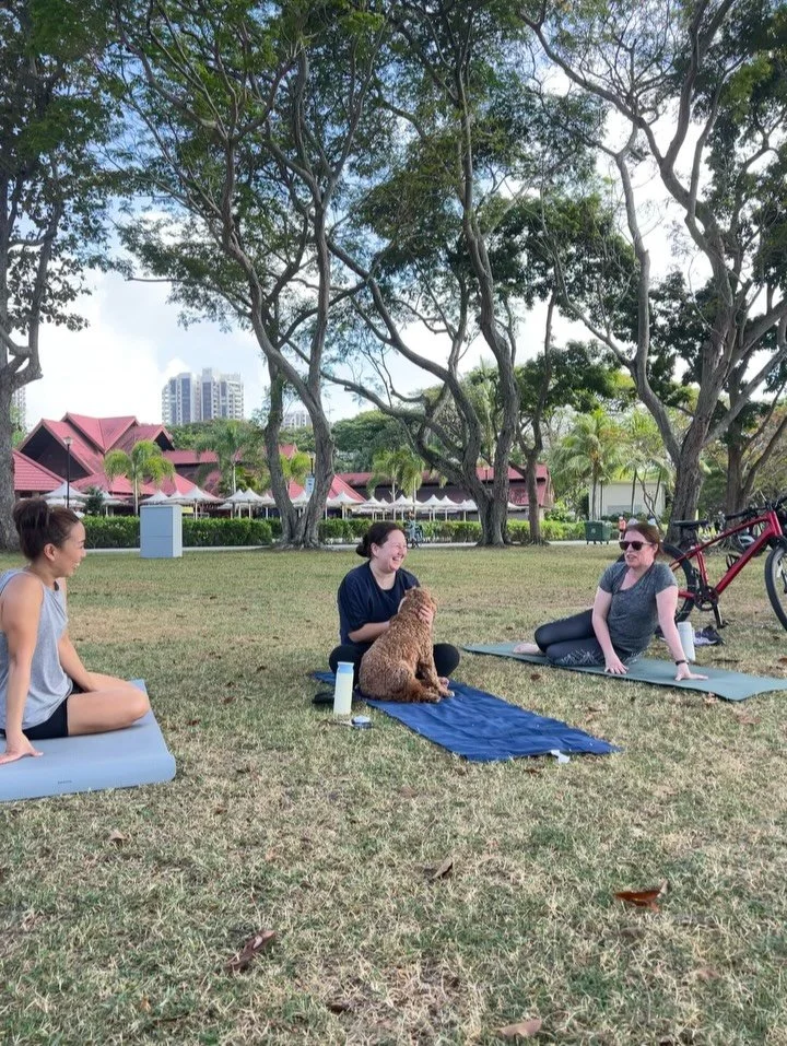 Biscuit bringing the Valentine&rsquo;s love to Pilates. 
He shows us unconditional love every single day!
We&rsquo;re so lucky to have him - and he shares it with everyone!