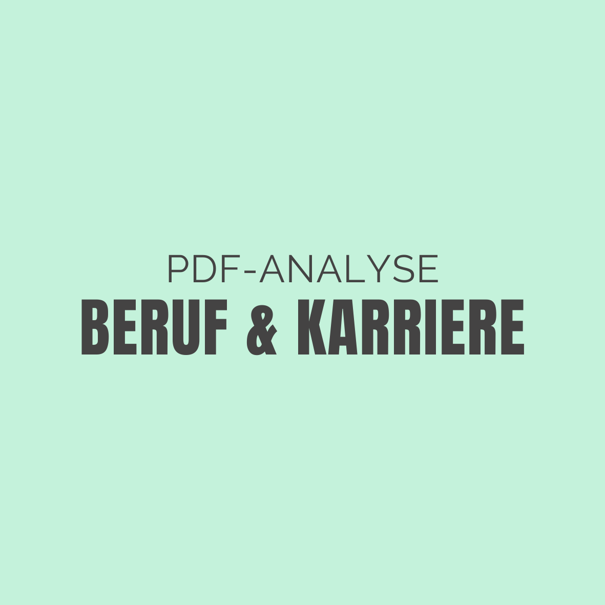 Beruf & Karriere – Individuelle PDF Analyse