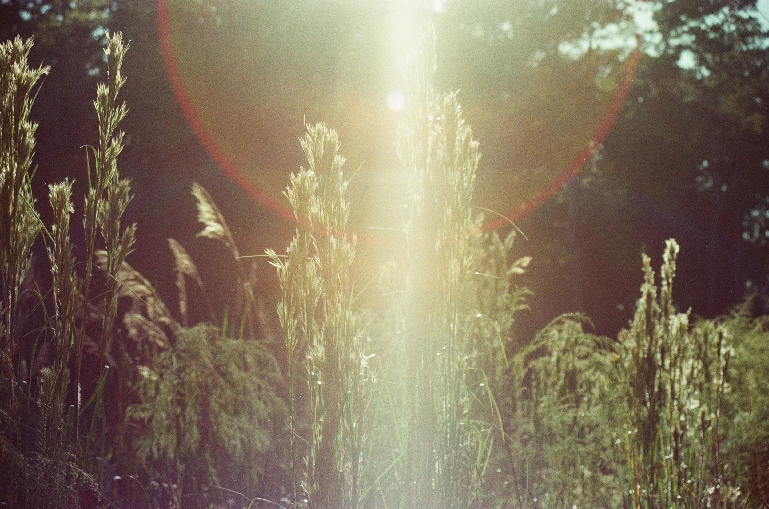 Why is Religion so Taboo?