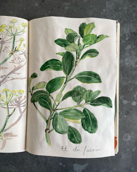 Screen Shot 2024-05-03 at 16.03.38.png