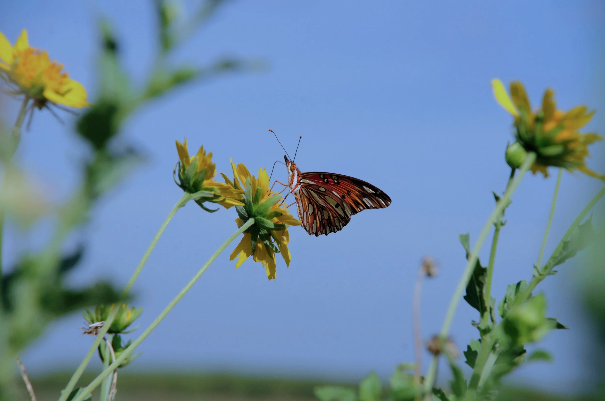 A New Week, A New Glow ✨🌸