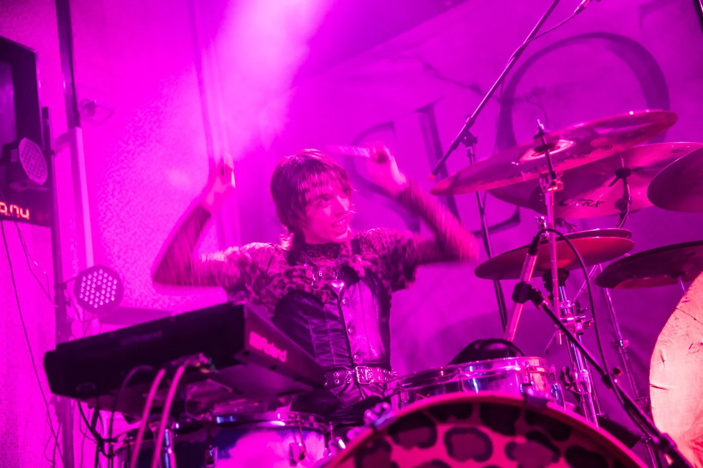 The Velveteers