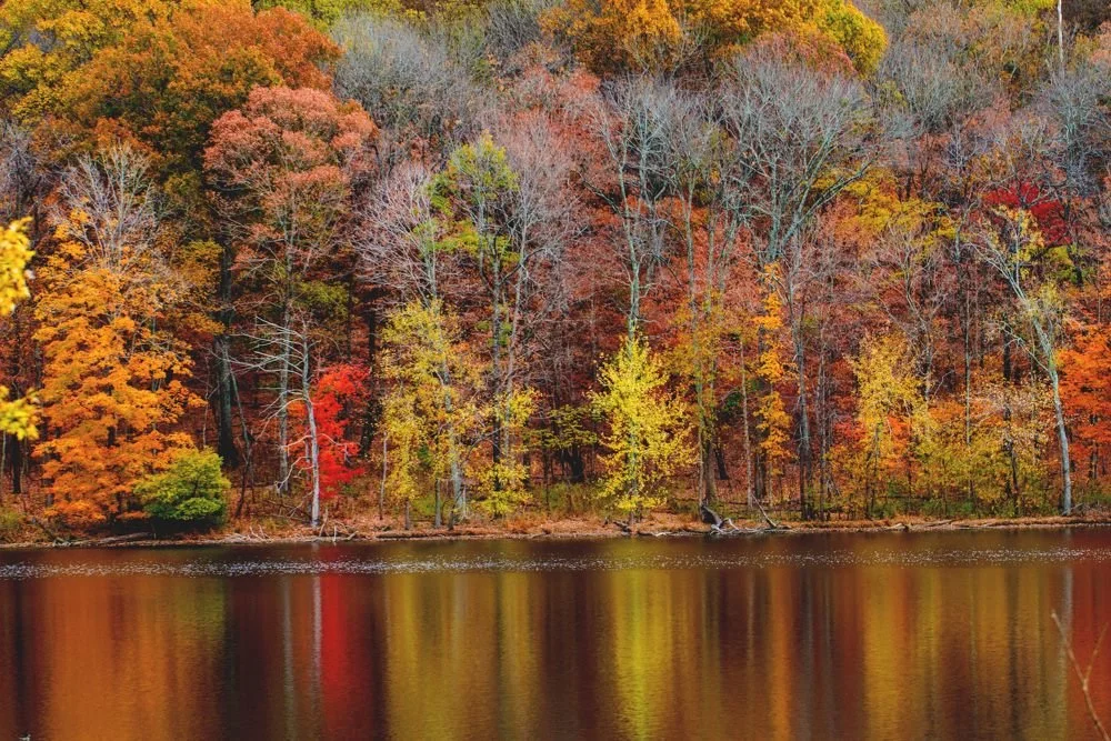 Radnor Lake Nashville in the Fall
