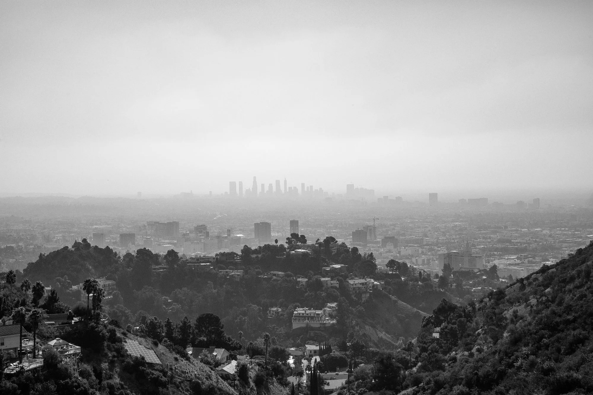 Photo of Downtown Los Angeles from the top of the Hollywood Hills
