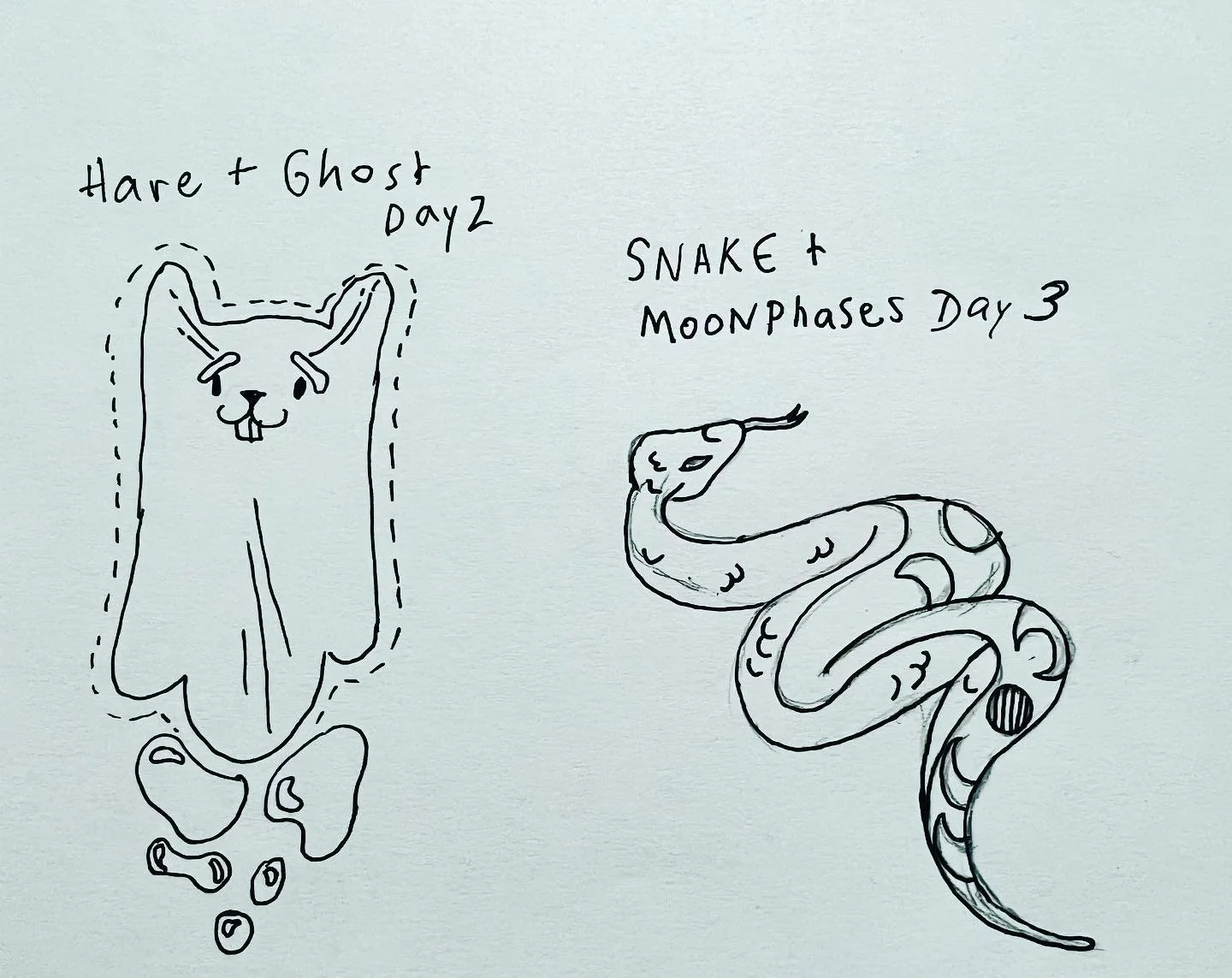 Inktober day 2 and 3! Hare🐰 + Ghost👻 and Snake 🐍+ Moonphases 🌚!

Hope everyone&rsquo;s doing great so far!😎🍂 

#inktober2021 #inkaruska #whimsical #potd #artprompts #art