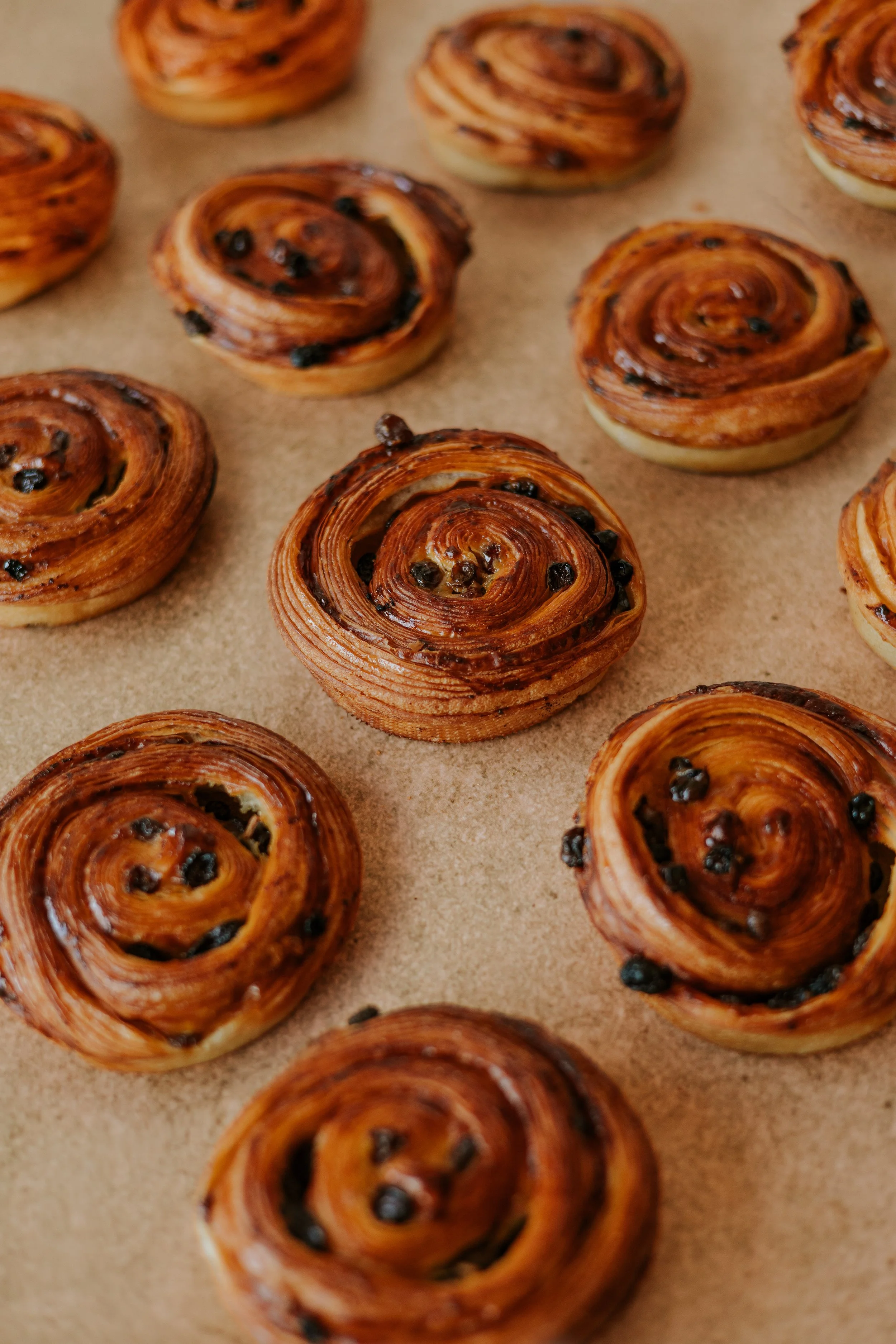 ROULÉ AUX RAISINS