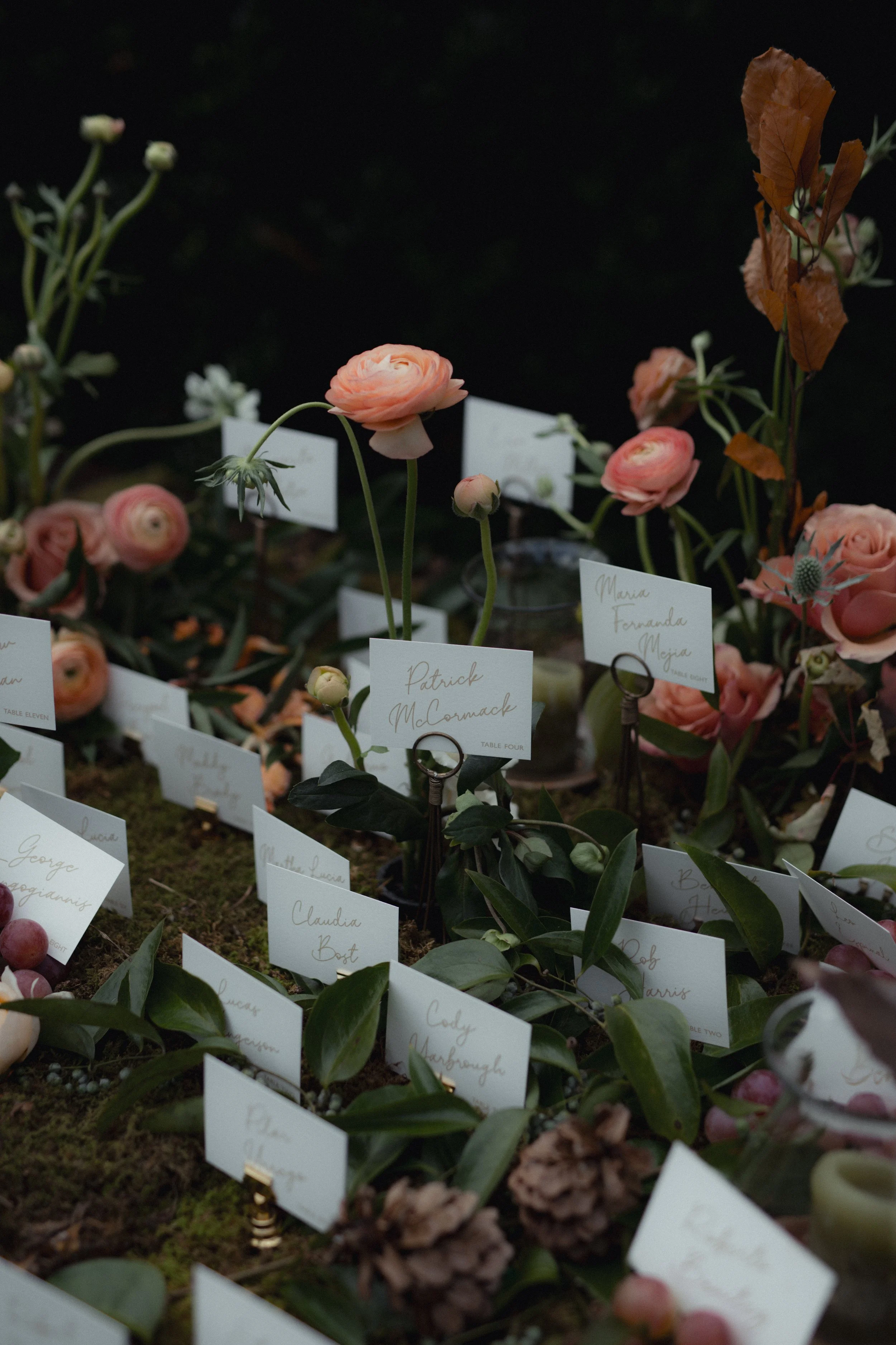 Wedding Portraits-1-6.jpg