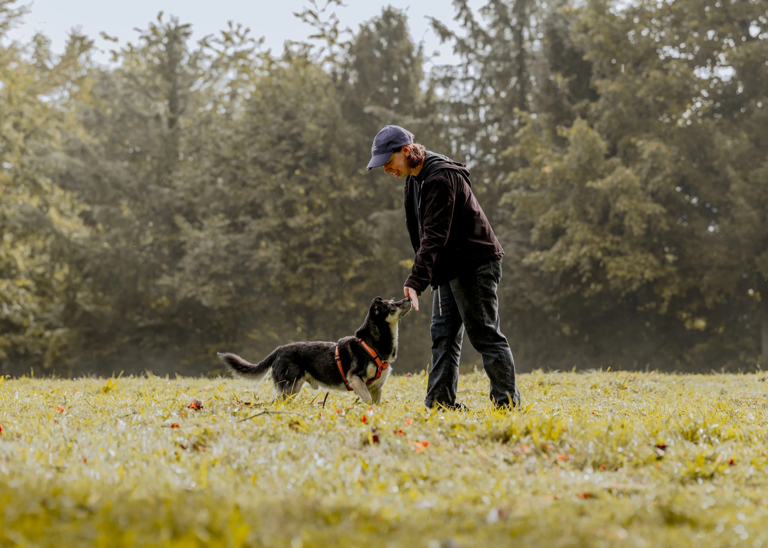 Junge Person mit dunkler Kleidung spielt mit einem schwarzen und weißen Hund im Park im Herbst, umgeben von Bäumen