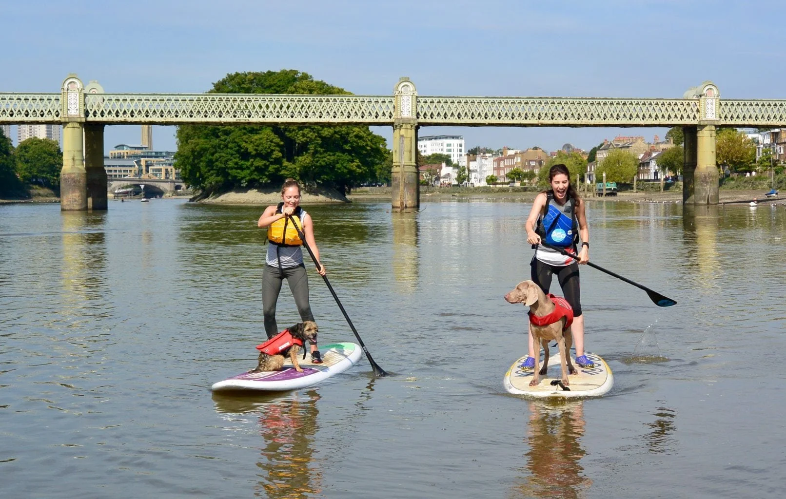 40 Things to do with kids in Chiswick
