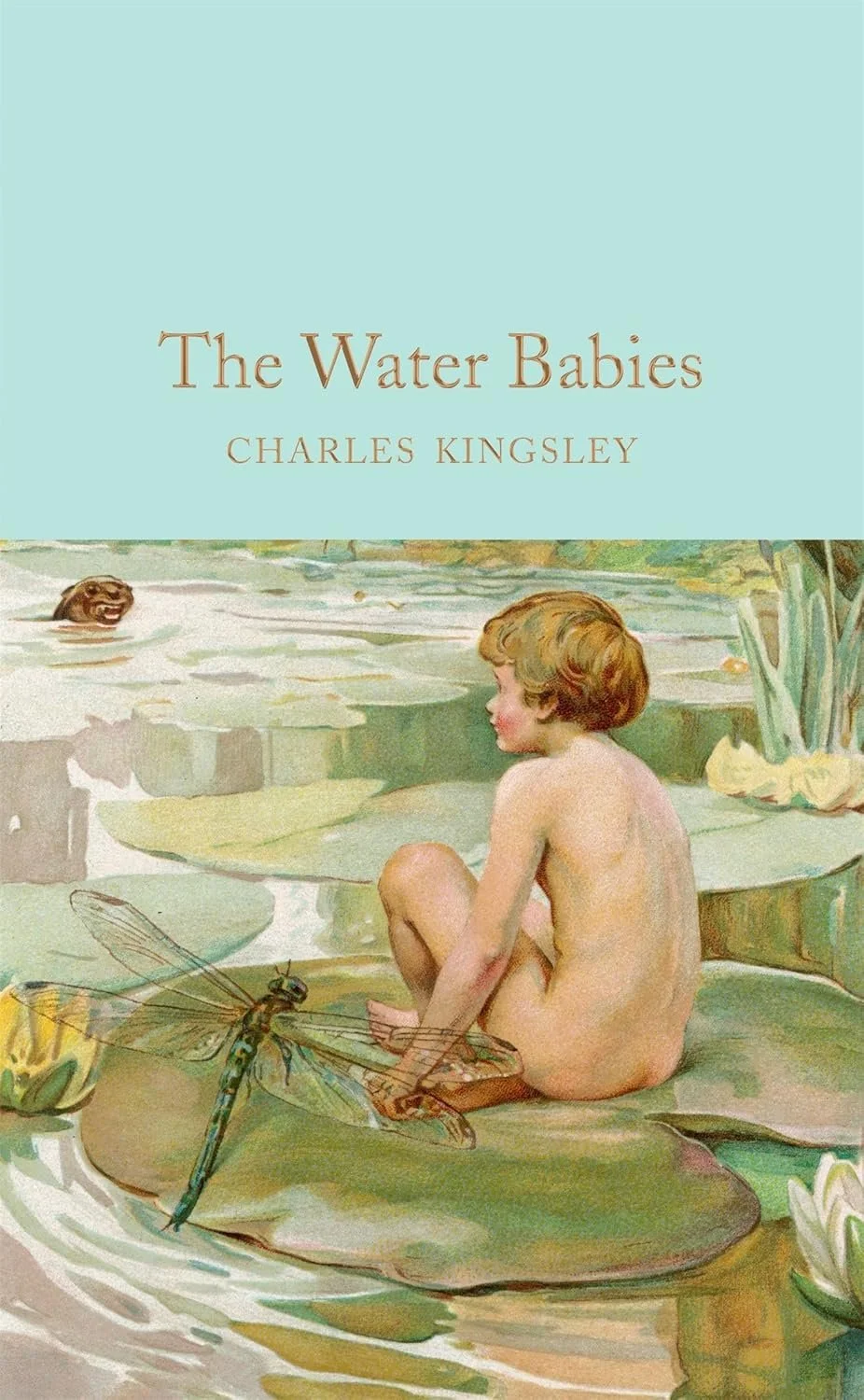 kingsley The Water‑Babies.jpg