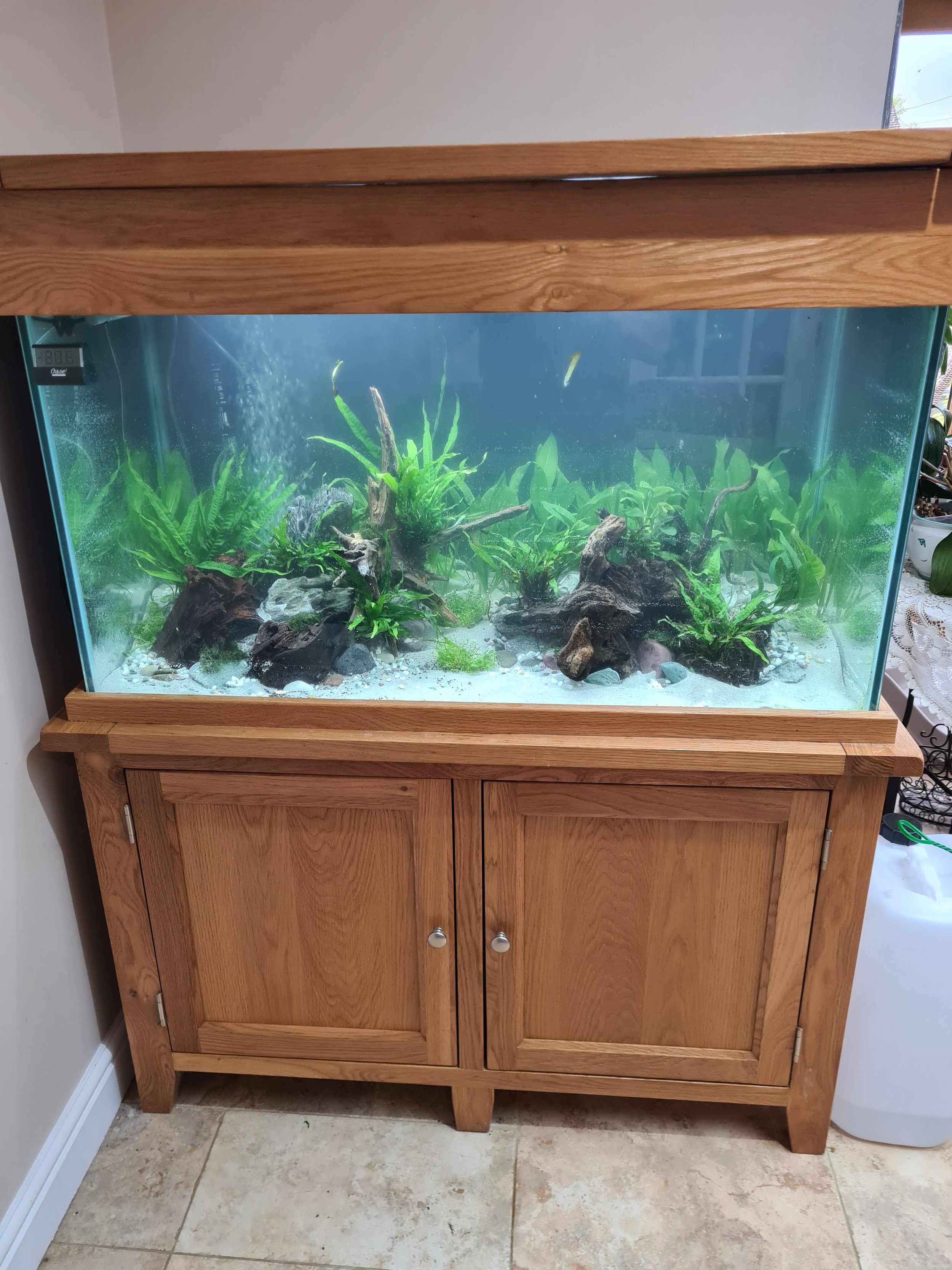 Large tropical freshwater fish tank with a wooden cabinet stand, containing aquatic plants and rocks inside.