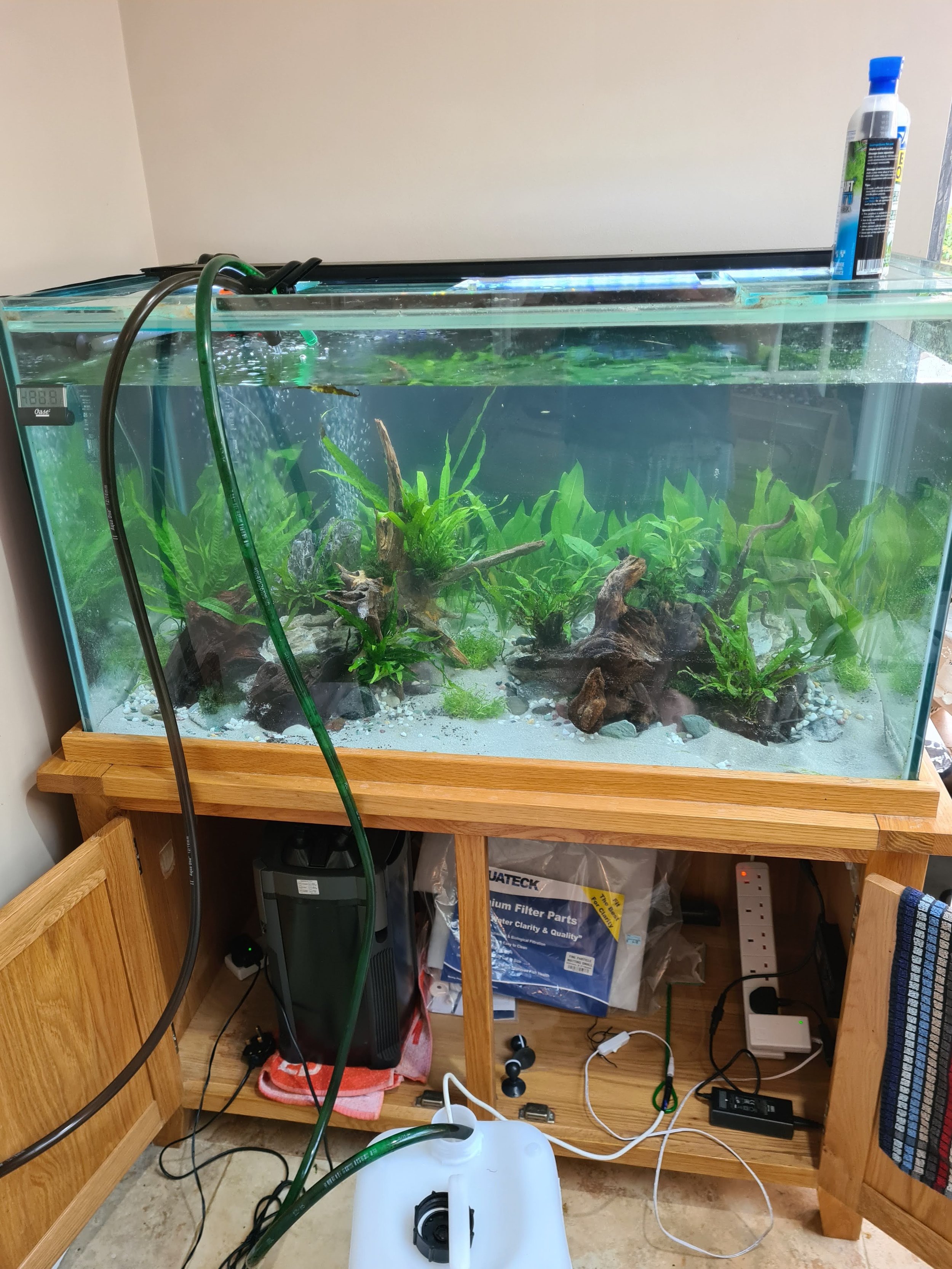 I removed the whole substrate system, cleaned the tank, supplied hard scape and substrate along with plants and filled it up