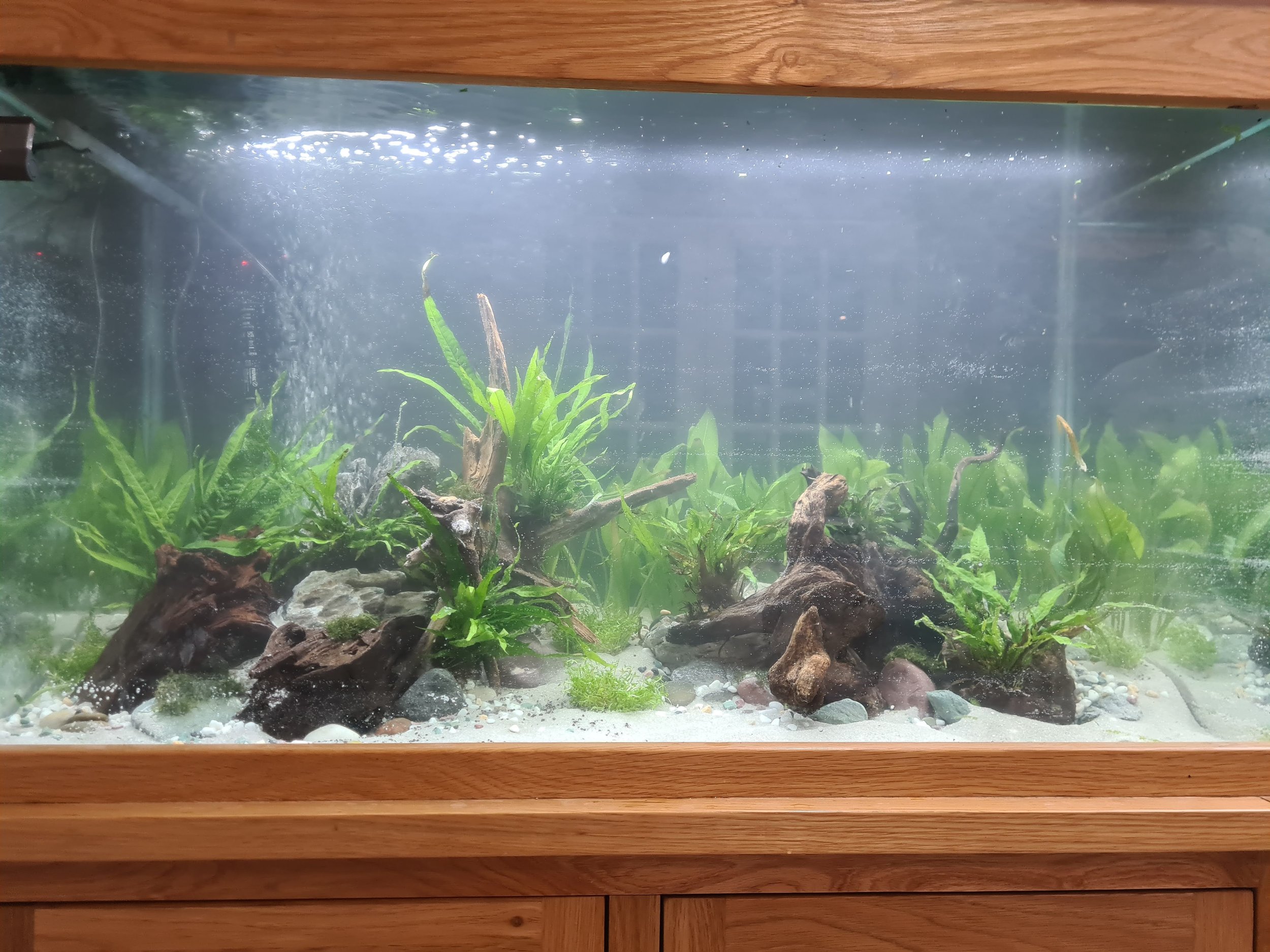 Same day after I finished...