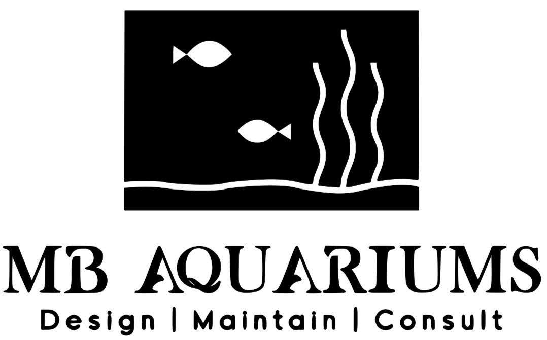 How to Choose Your First Livestock for a Saltwater Aquarium — MB Aquariums