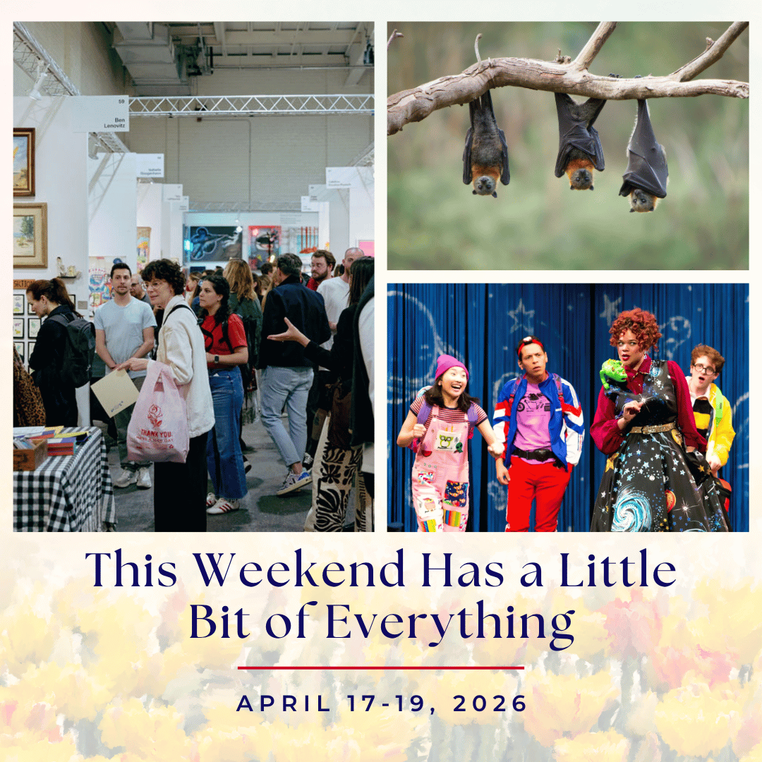 The Superior Local | This Weekend Has a Little Bit of Everything