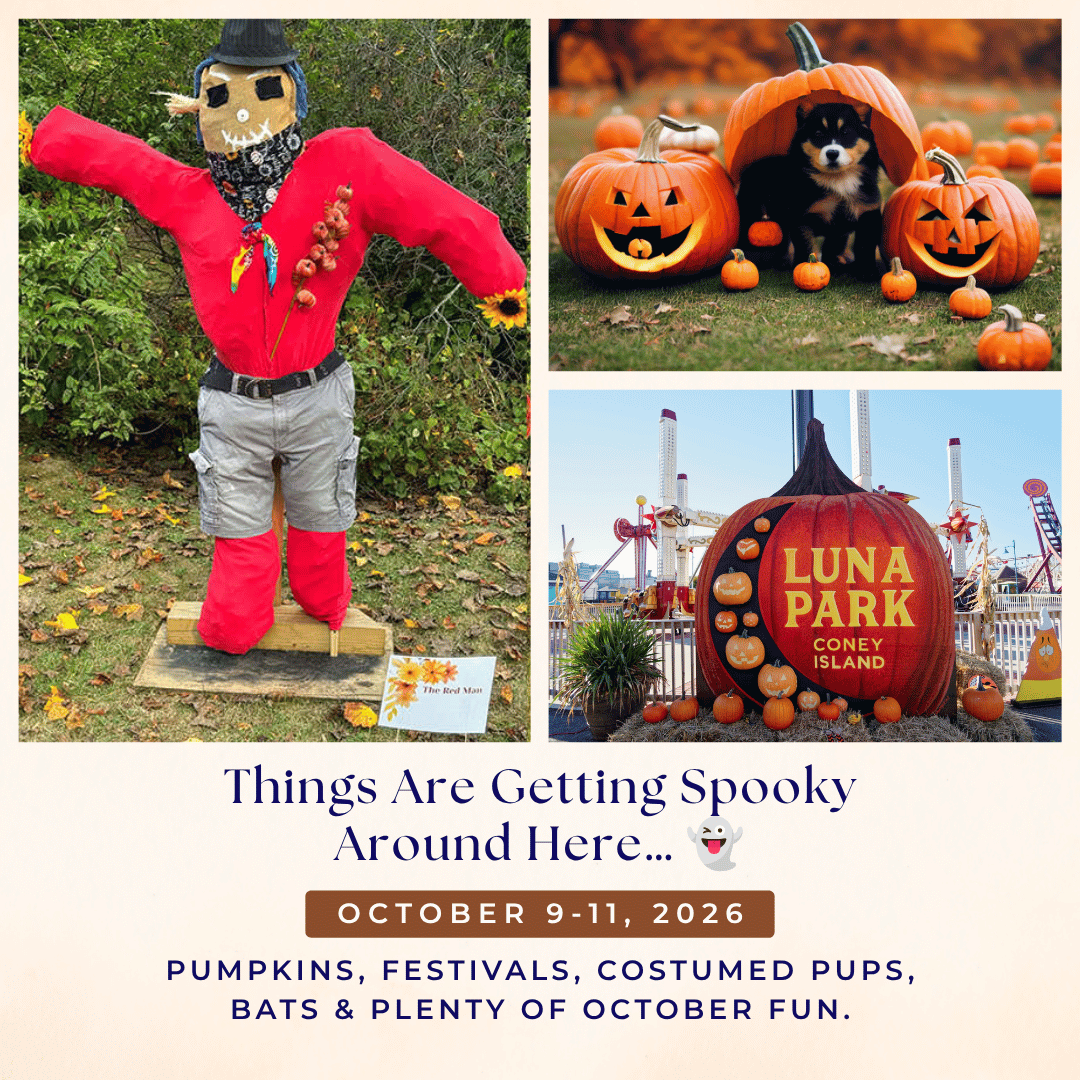 The Superior Local | Things Are Getting Spooky Around Here… 👻