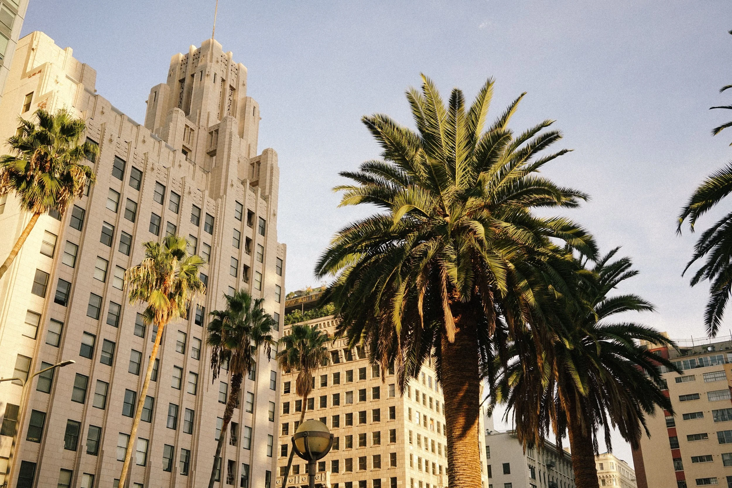 Elite Matchmaking Services for Professionals in Los Angeles