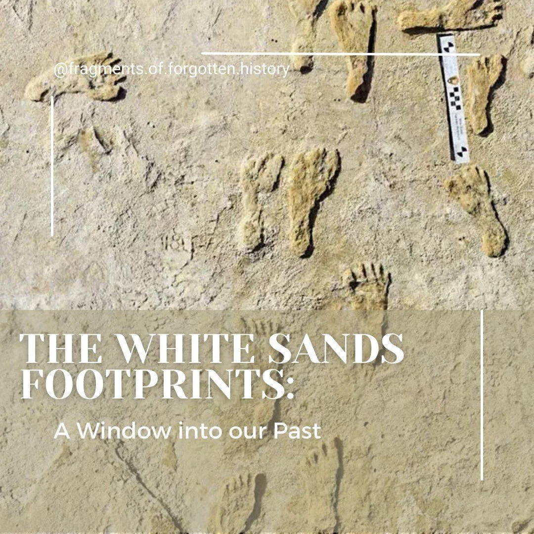 In the state of New Mexico hidden for millennia beneath the white sands of White Sands National Park, archaeologist have unearthed the world&rsquo;s largest collection of fossilized Ice Age footprints, dating back to between 23,000 and 21,000 years a