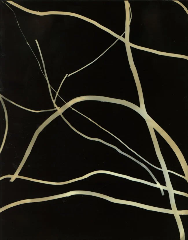 STICKS copy.jpg