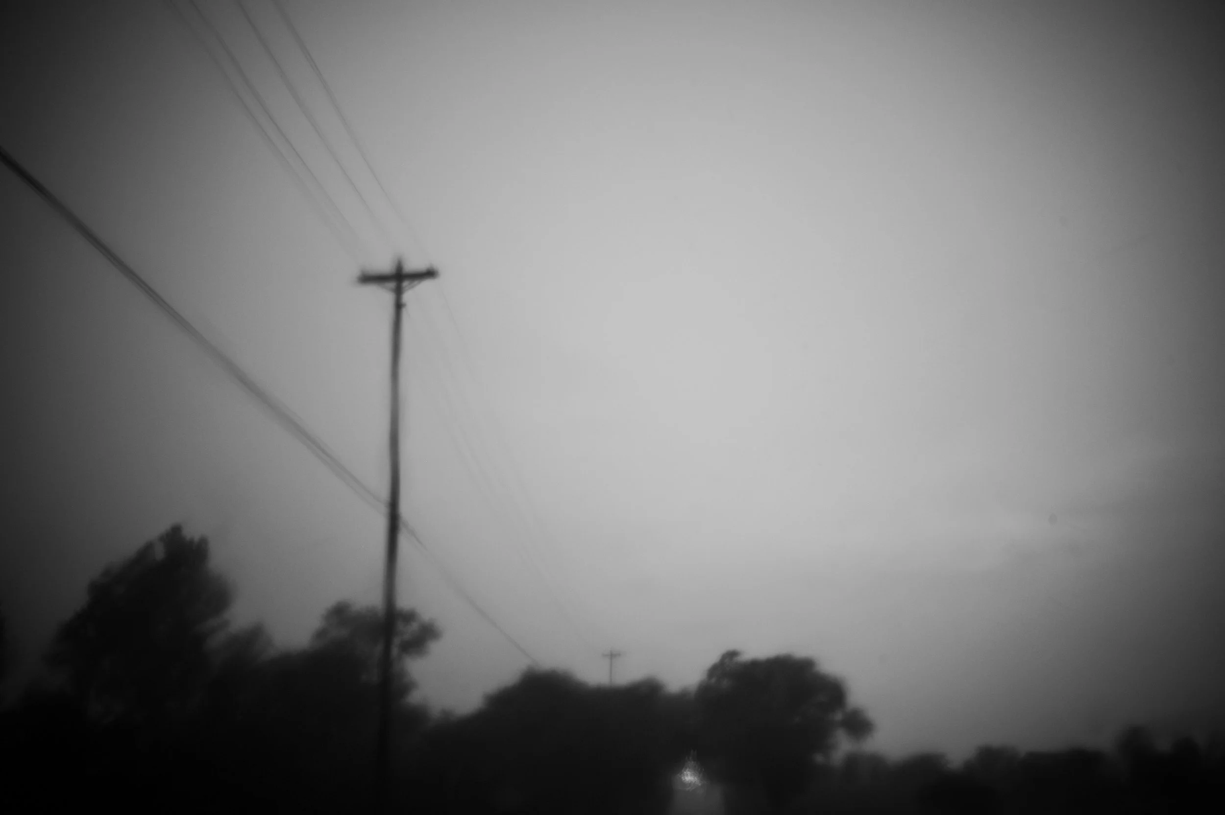 Signal in the Mist.jpg